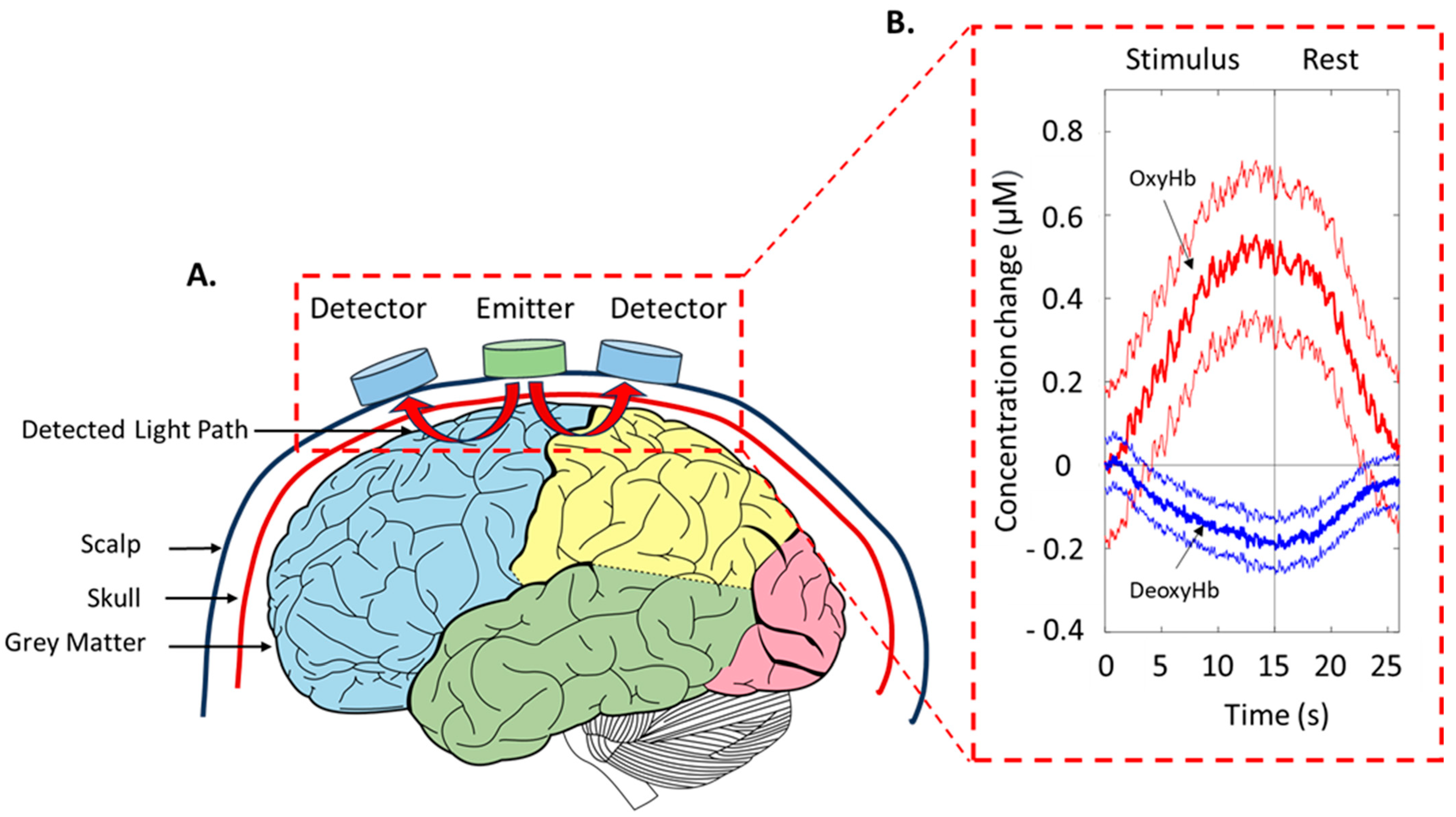 Metabolites 13 00814 g001 Metabolites 13 00814 g001