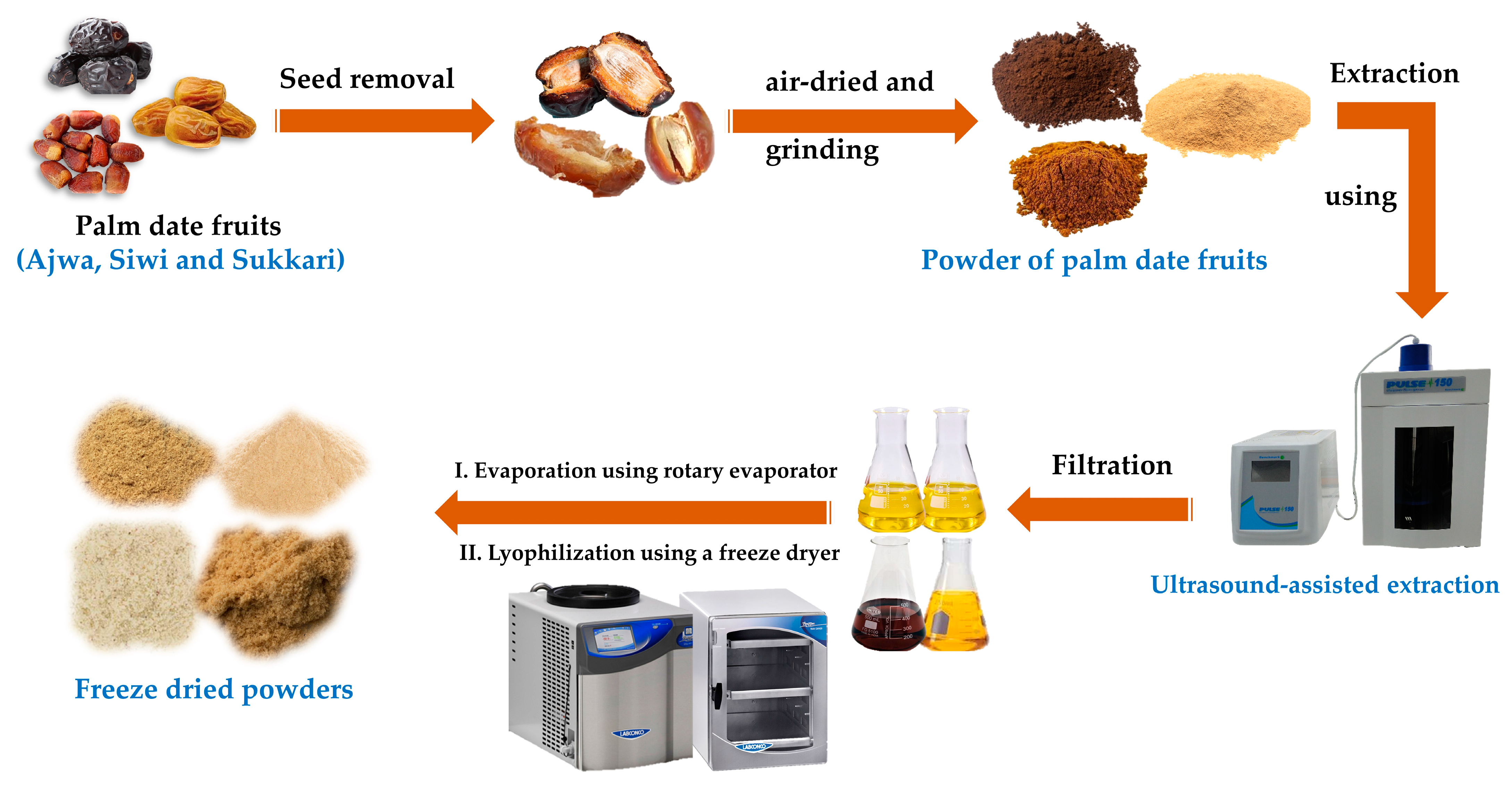Metabolites 13 00816 g001 Metabolites 13 00816 g001