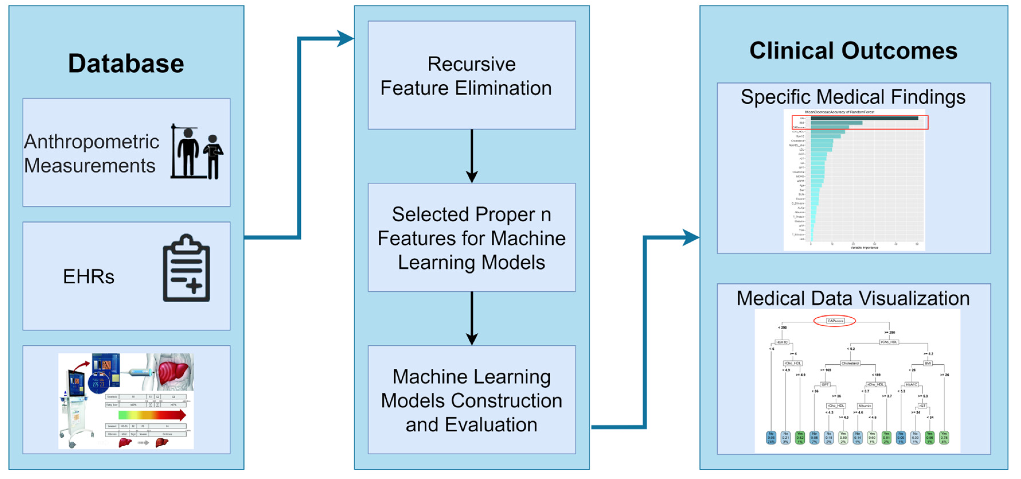 Metabolites 13 00822 g002