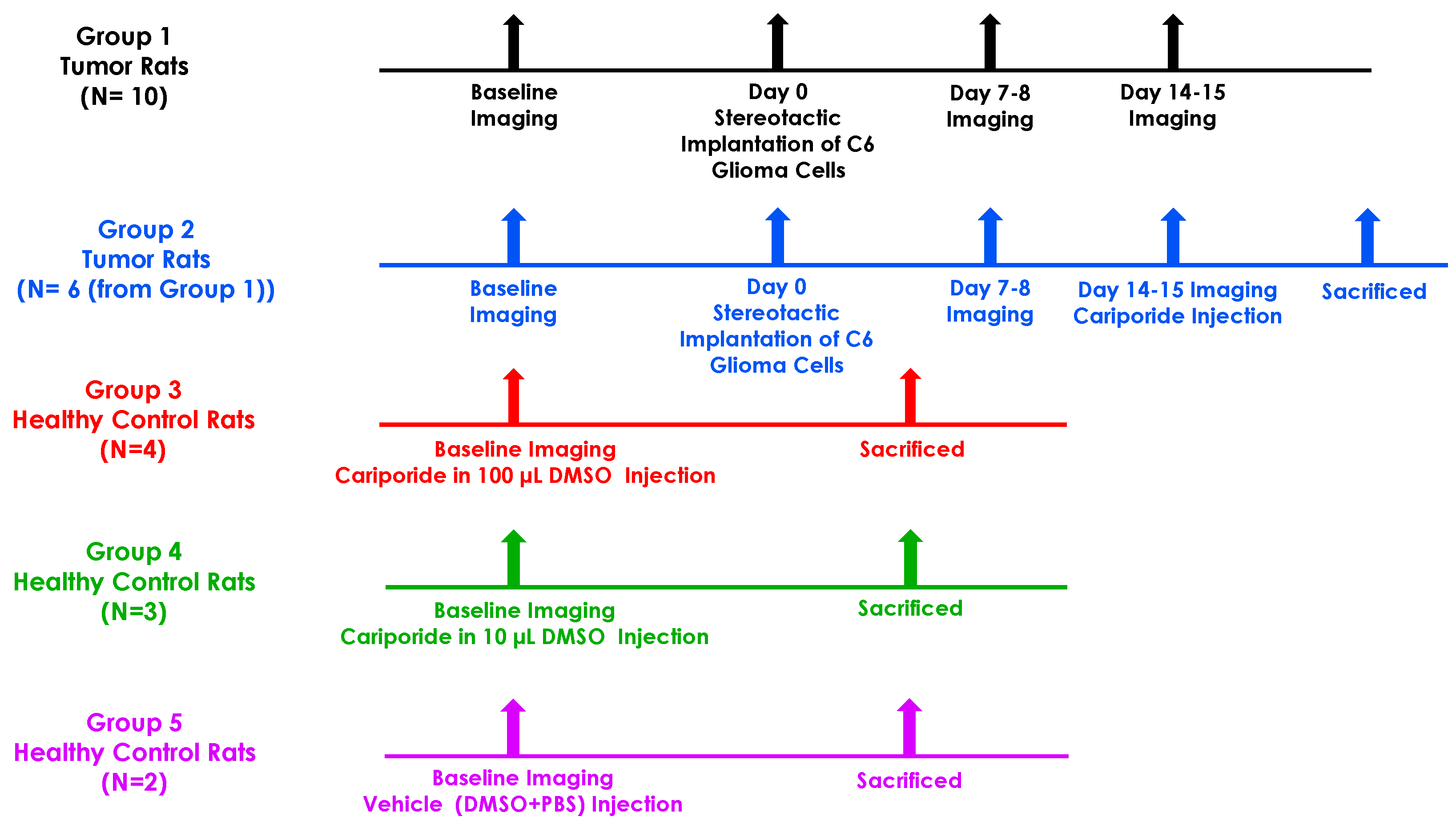 Metabolites 13 00823 g001