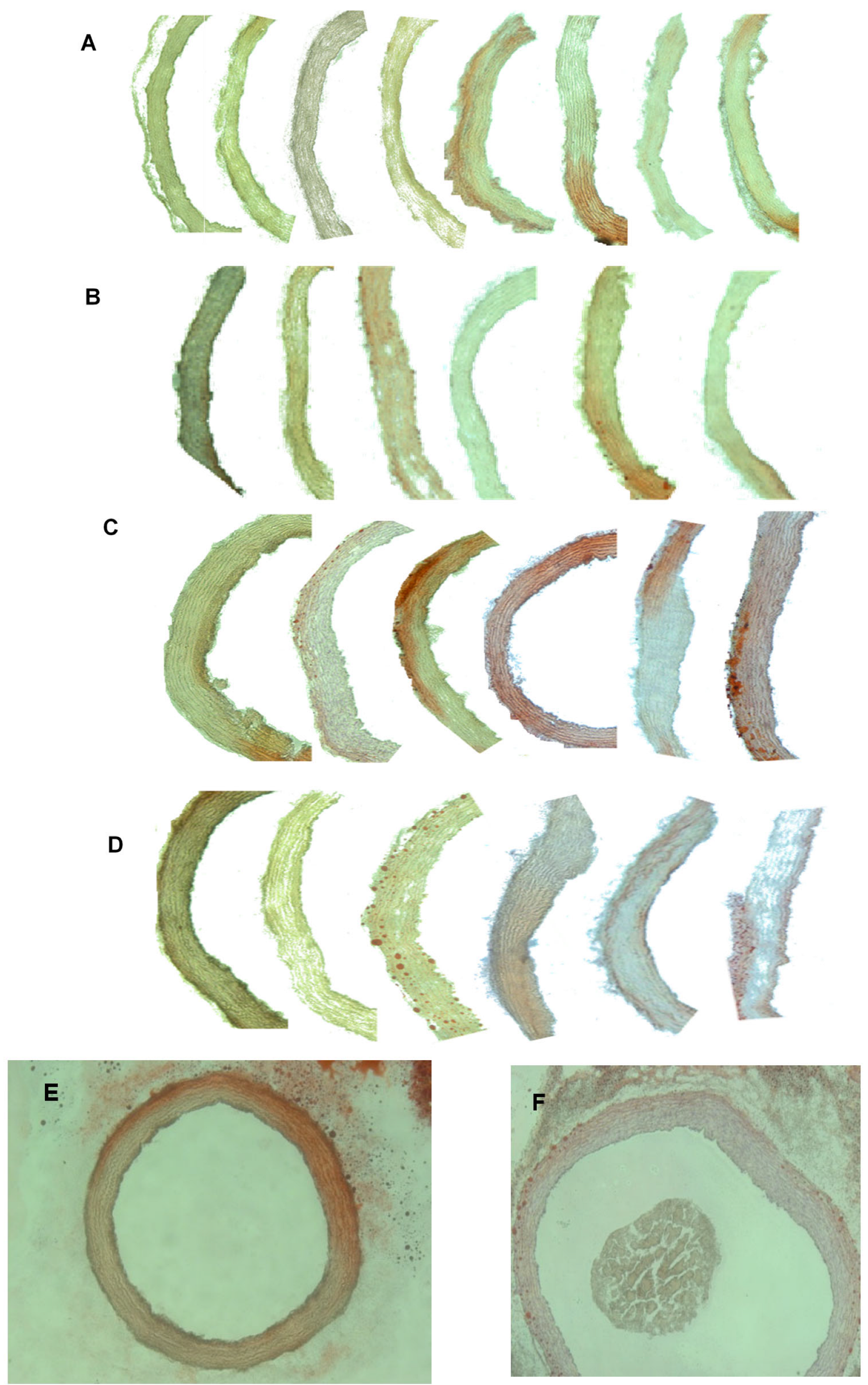 Metabolites 13 00827 g004 Metabolites 13 00827 g004