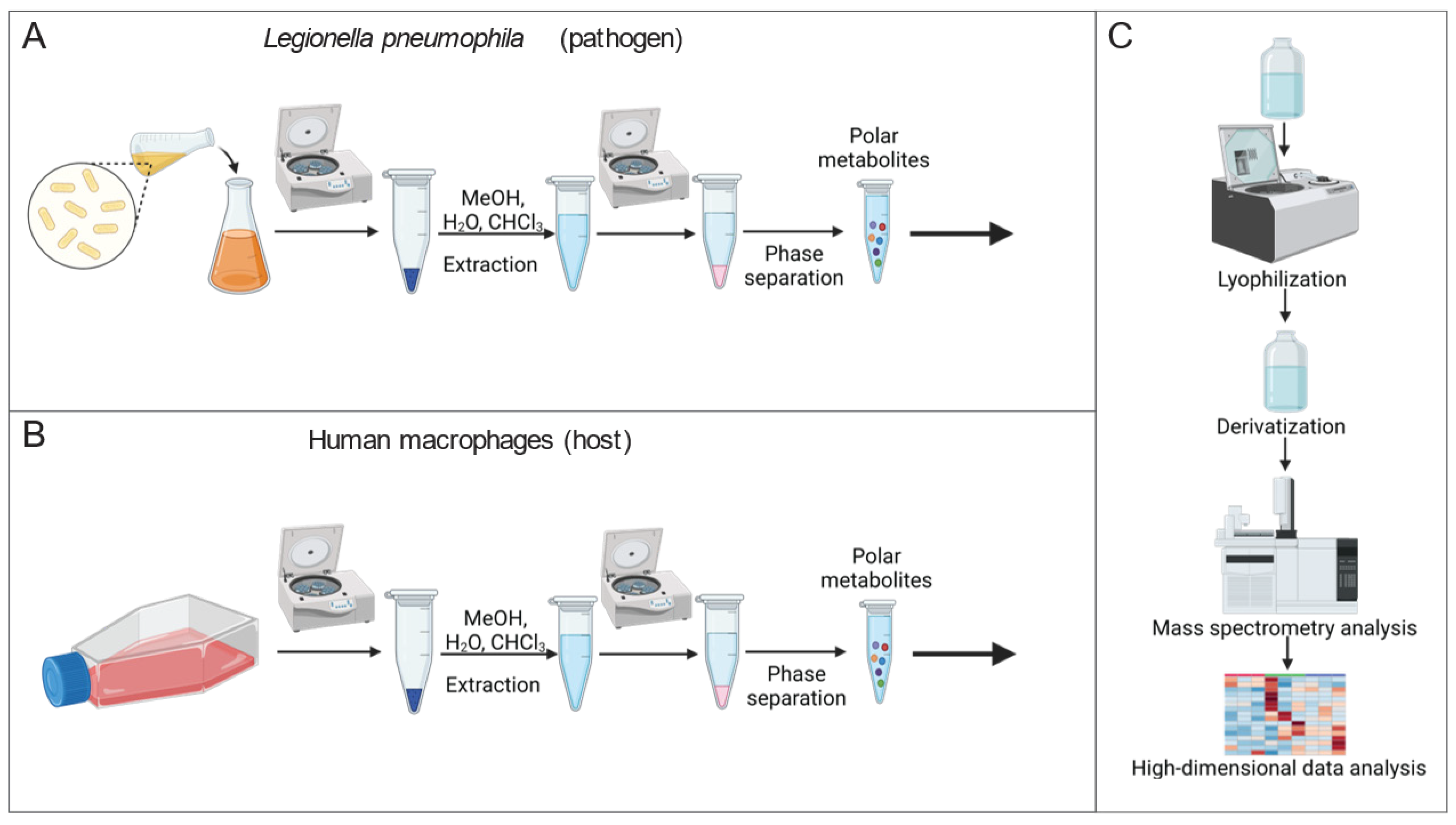 Metabolites 13 00834 g001 Metabolites 13 00834 g001