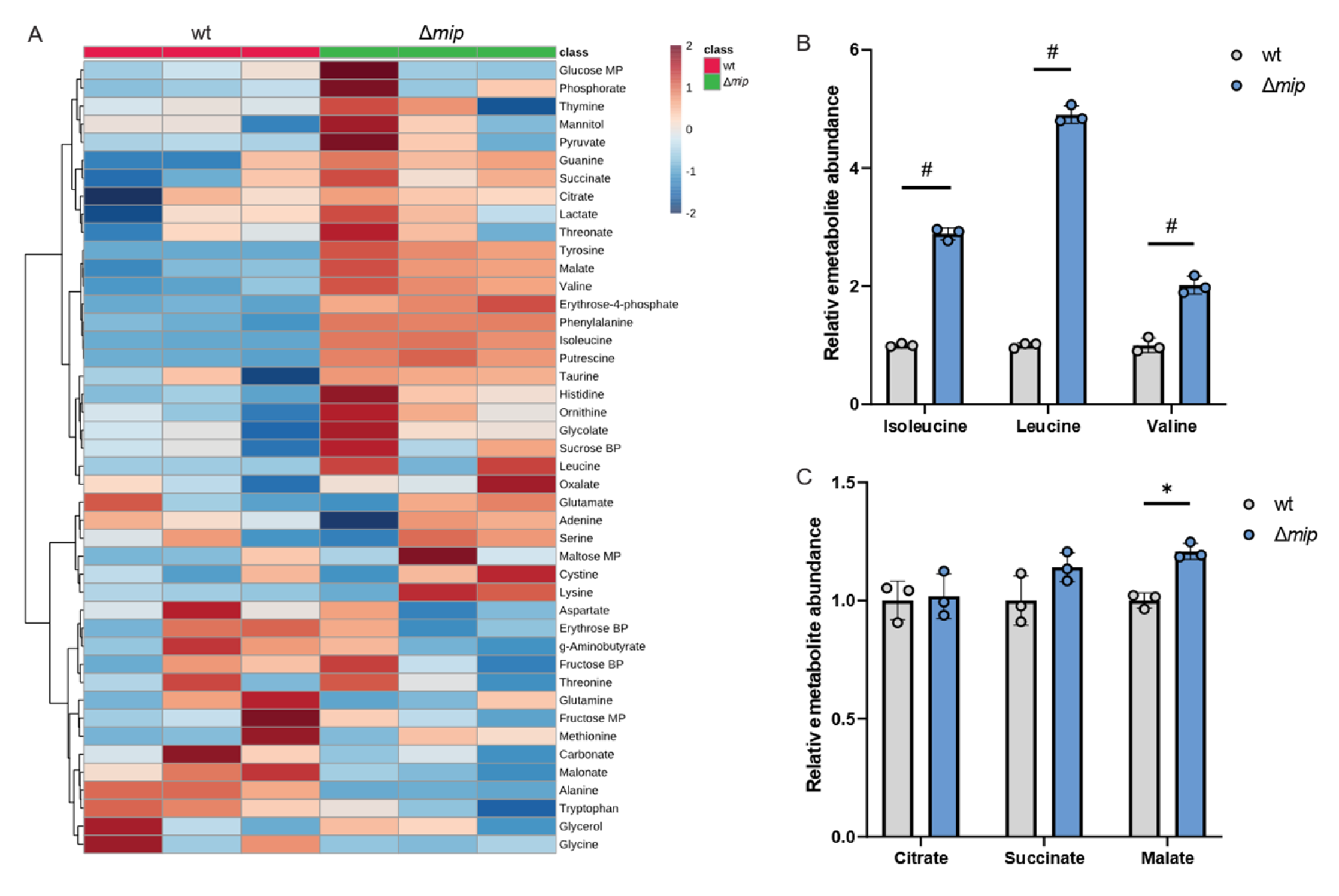Metabolites 13 00834 g003 Metabolites 13 00834 g003
