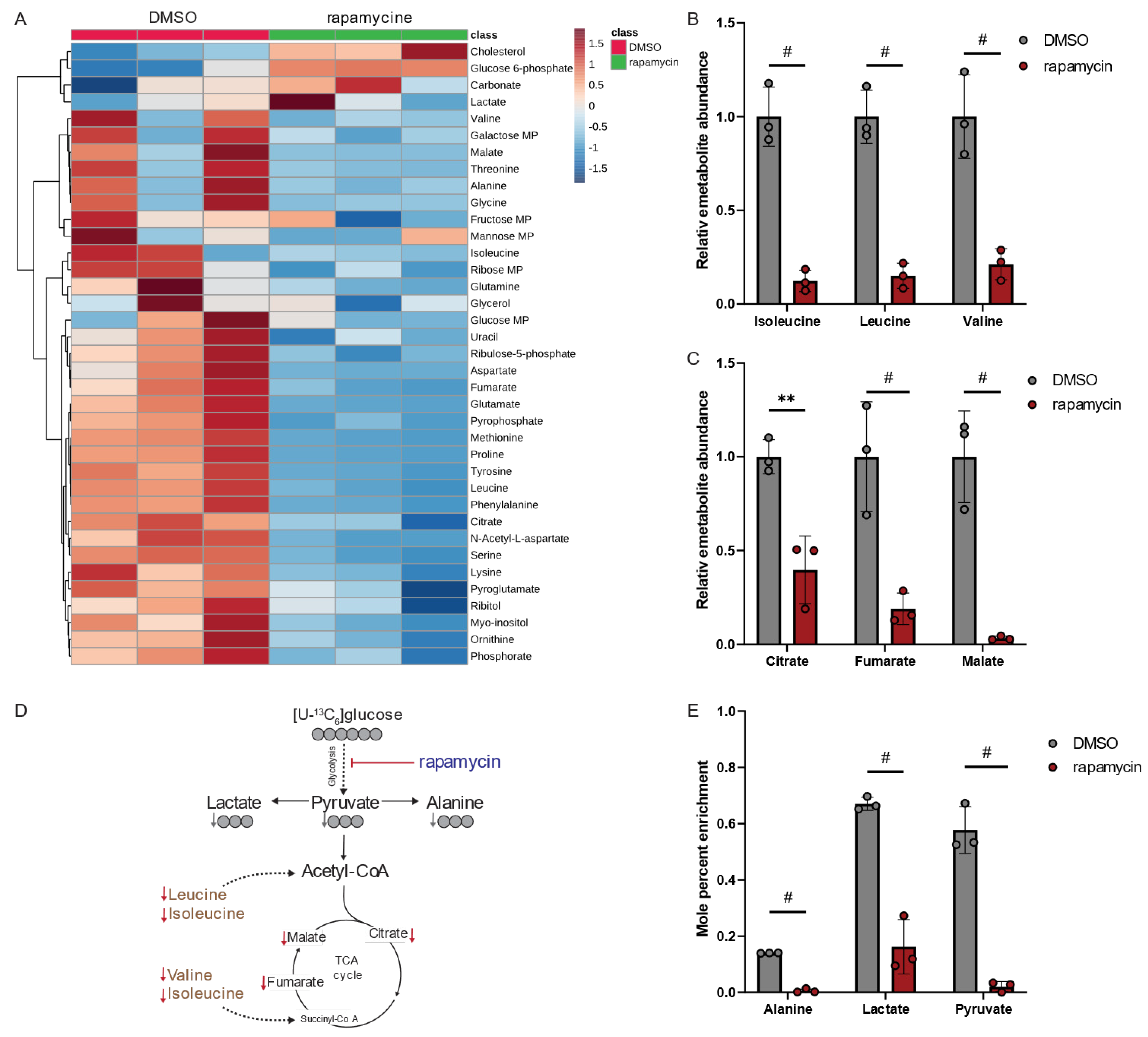 Metabolites 13 00834 g005 Metabolites 13 00834 g005