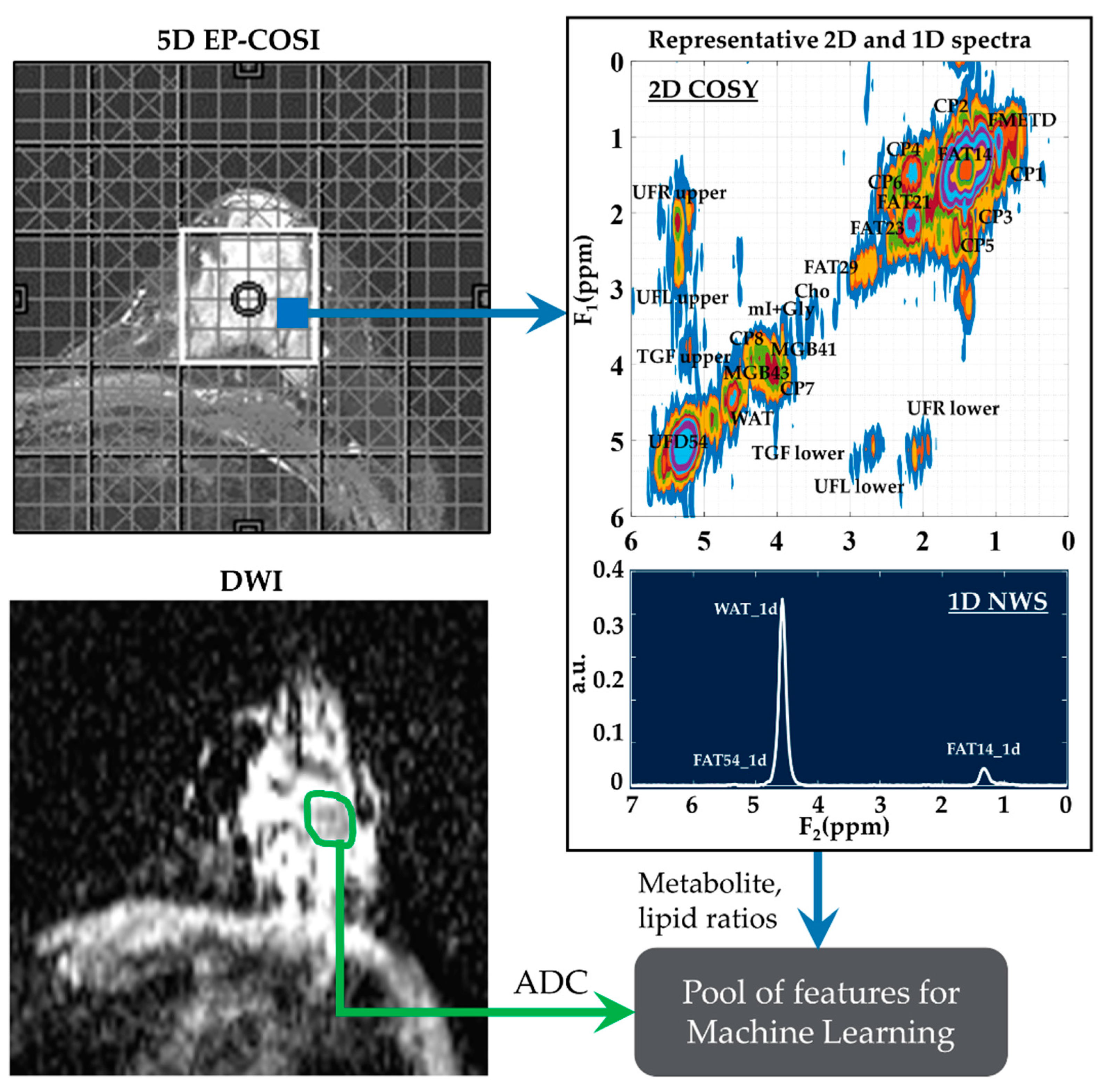 Metabolites 13 00835 g001 Metabolites 13 00835 g001