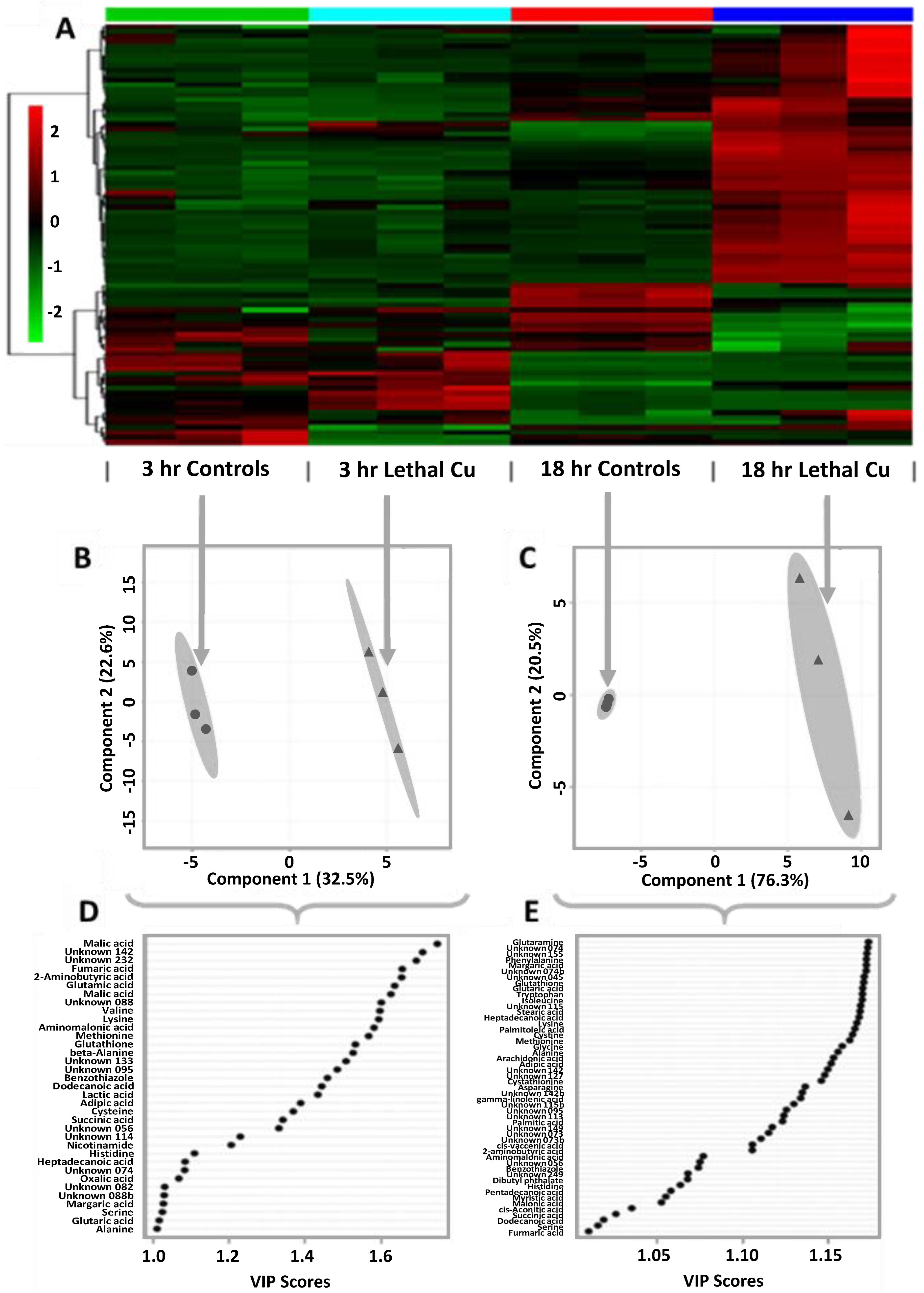 Metabolites 13 00838 g003