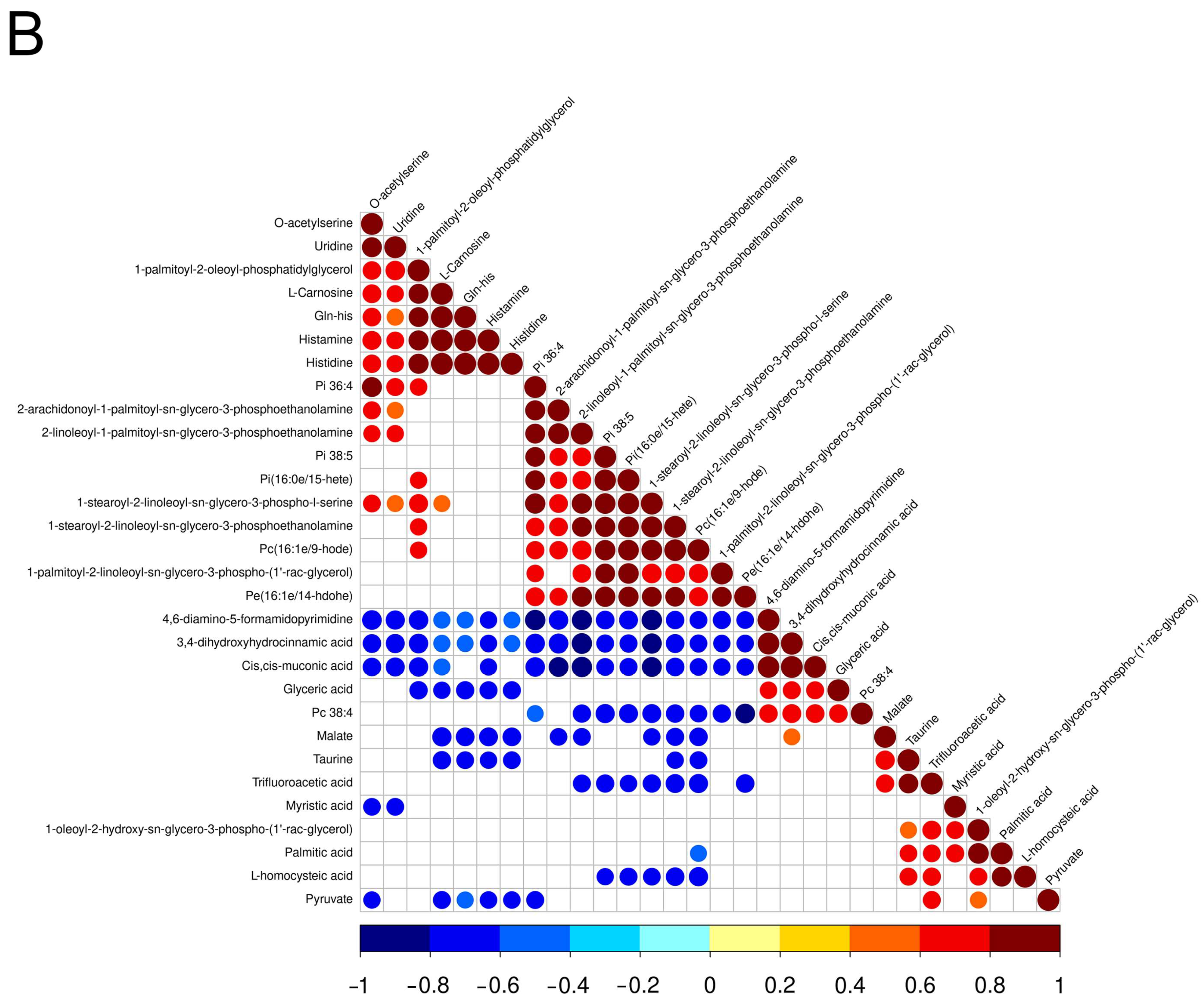 Metabolites 13 00840 g002b Metabolites 13 00840 g002b