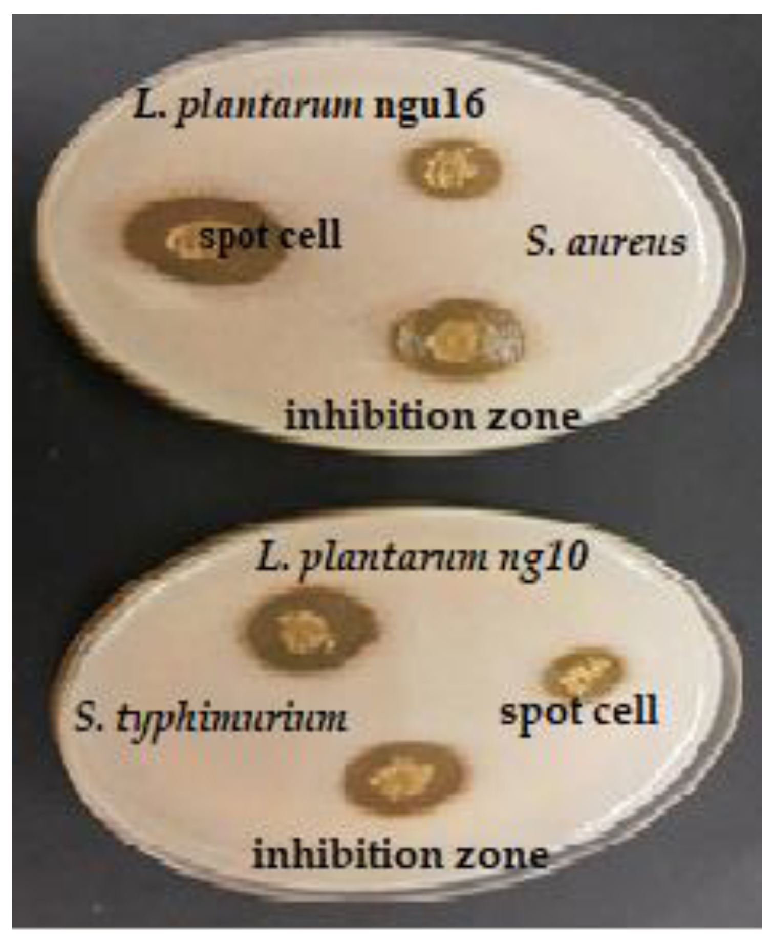 Metabolites 13 00849 g001