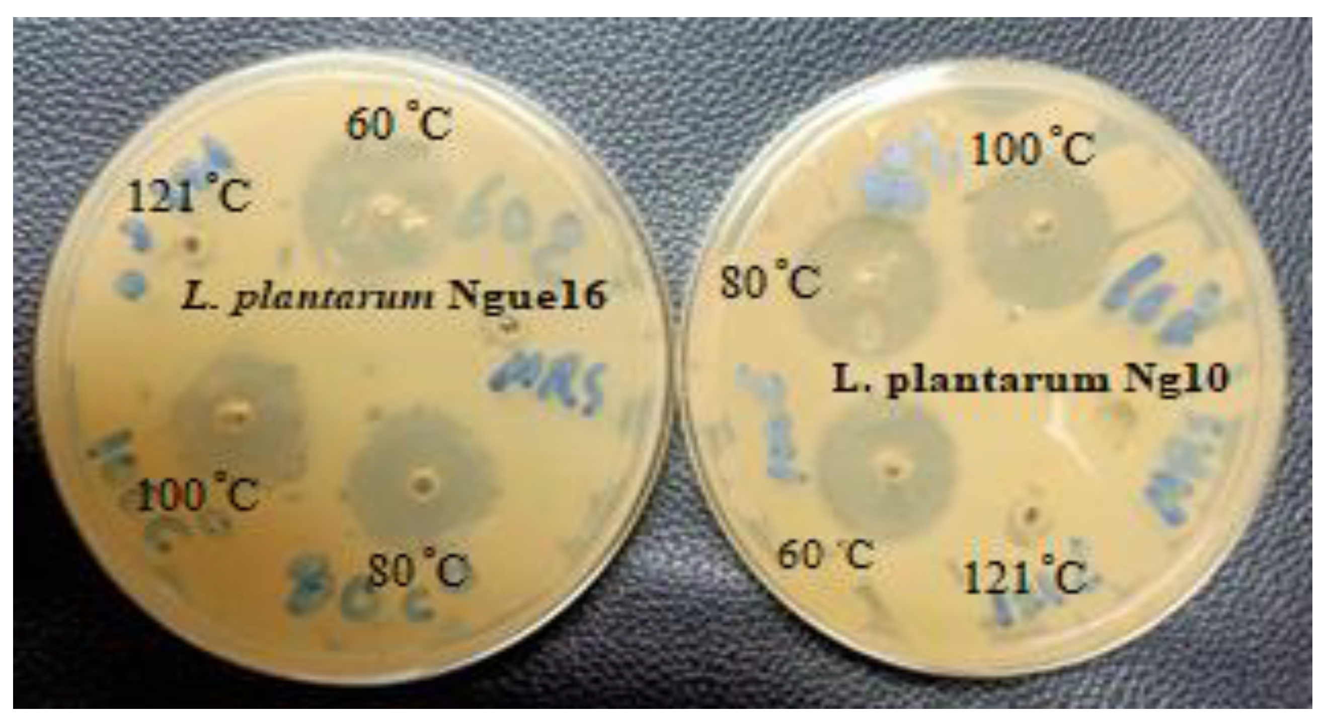 Metabolites 13 00849 g003