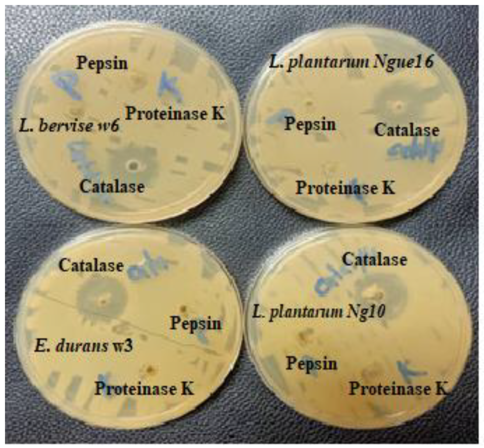 Metabolites 13 00849 g004