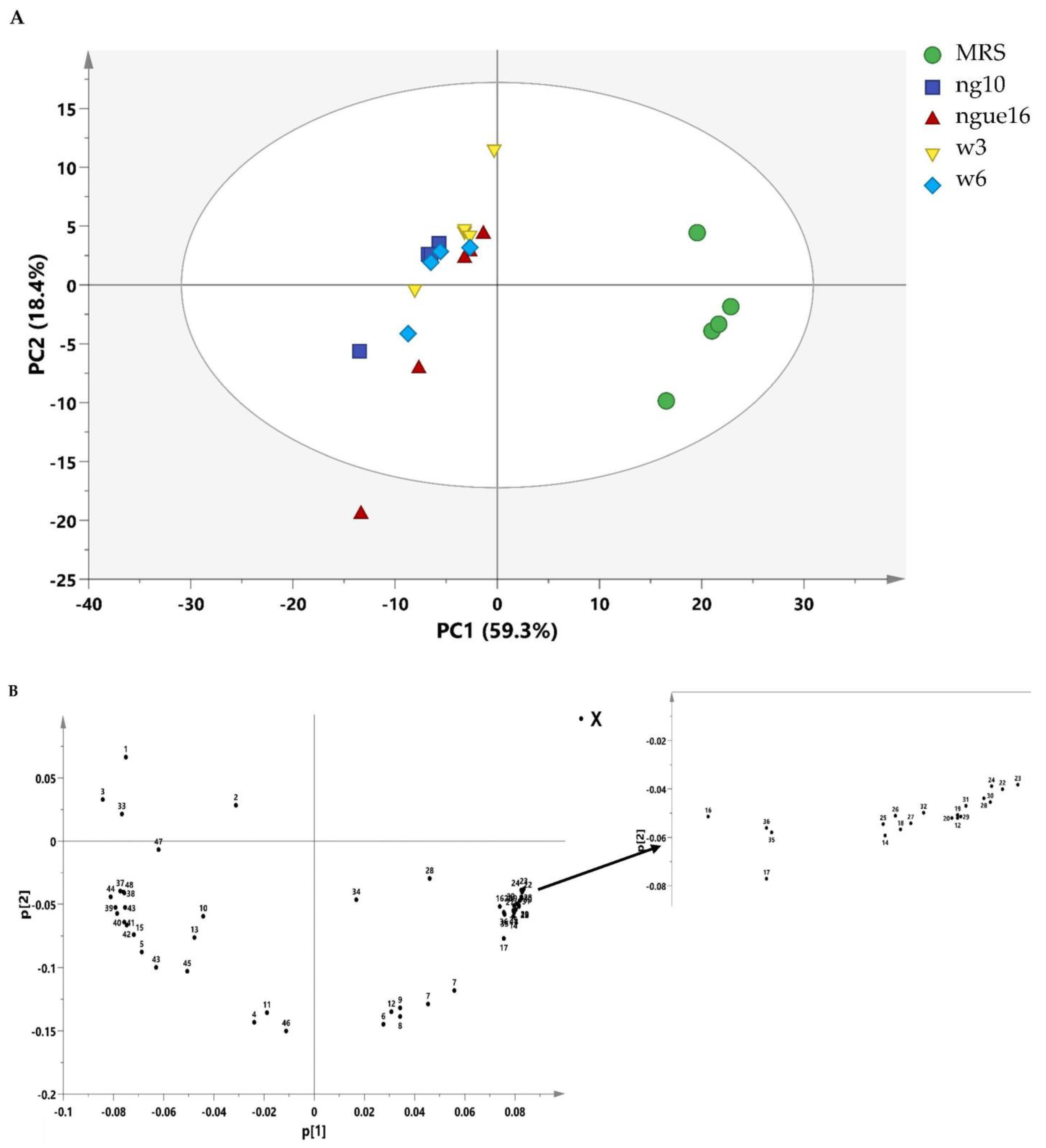 Metabolites 13 00849 g006