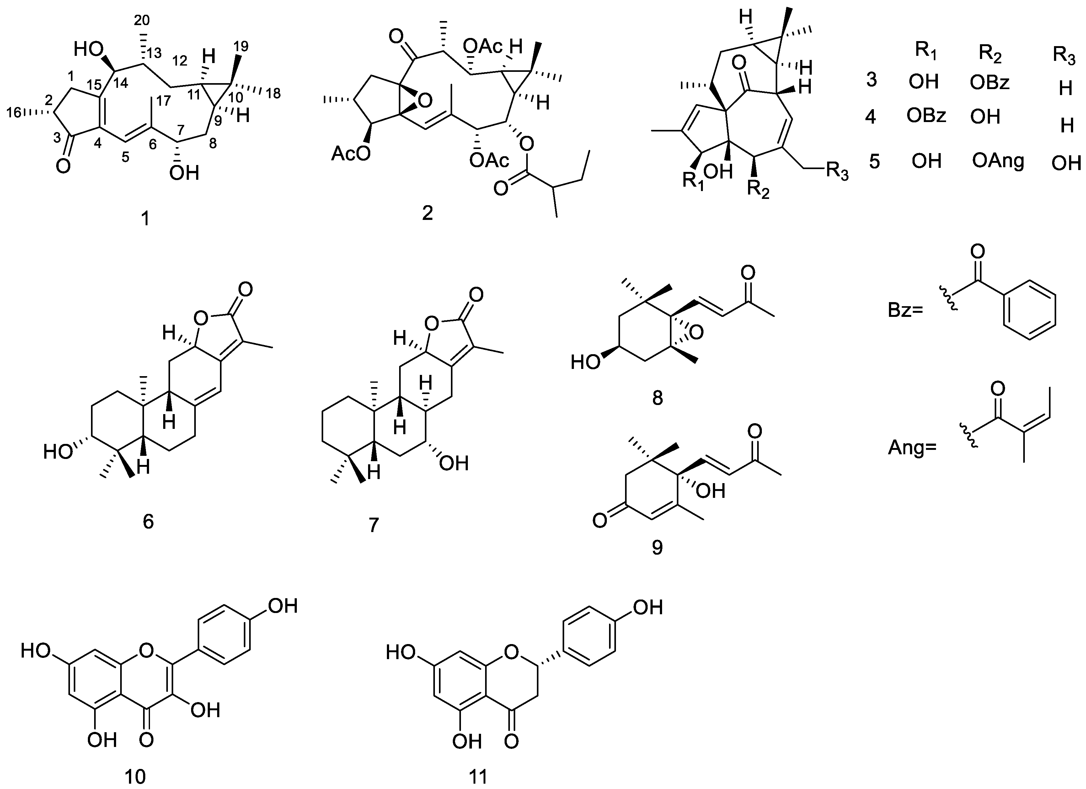 ふじ様 Chemical Constituents of Euphorbia stracheyi Boiss