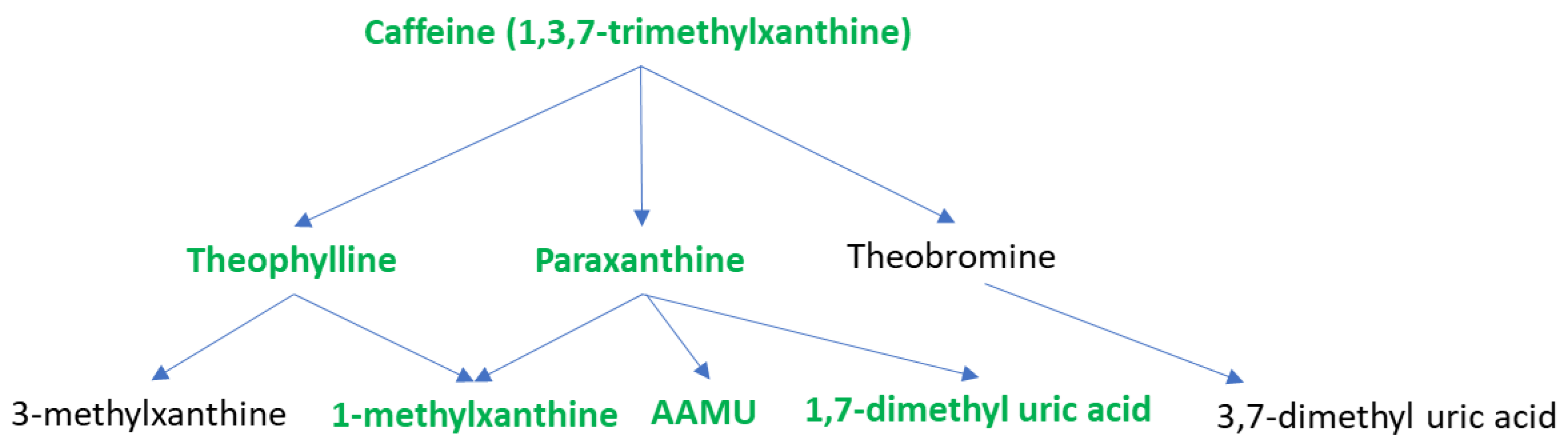 Metabolites 13 00853 g004