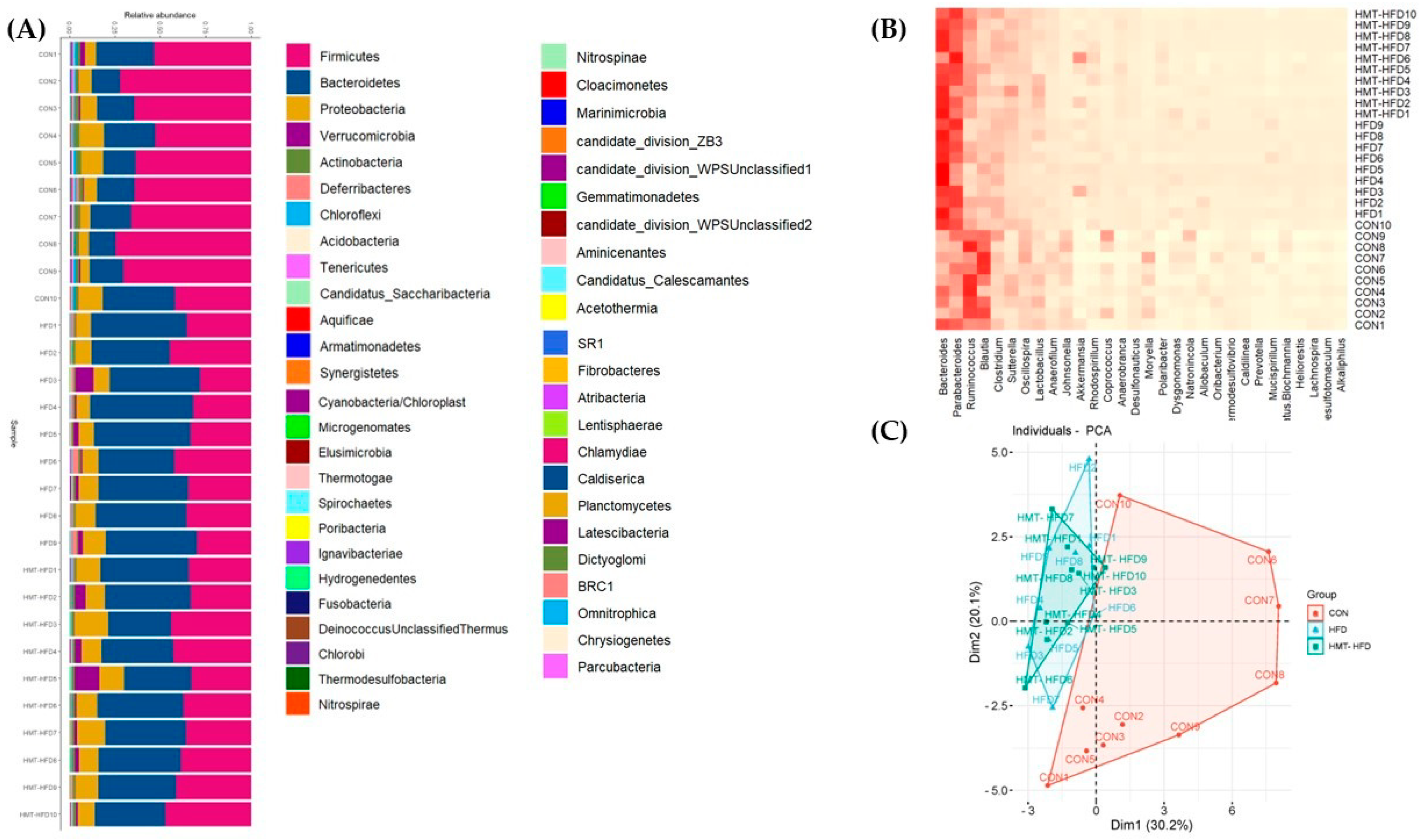 Metabolites 13 00858 g010a Metabolites 13 00858 g010a
