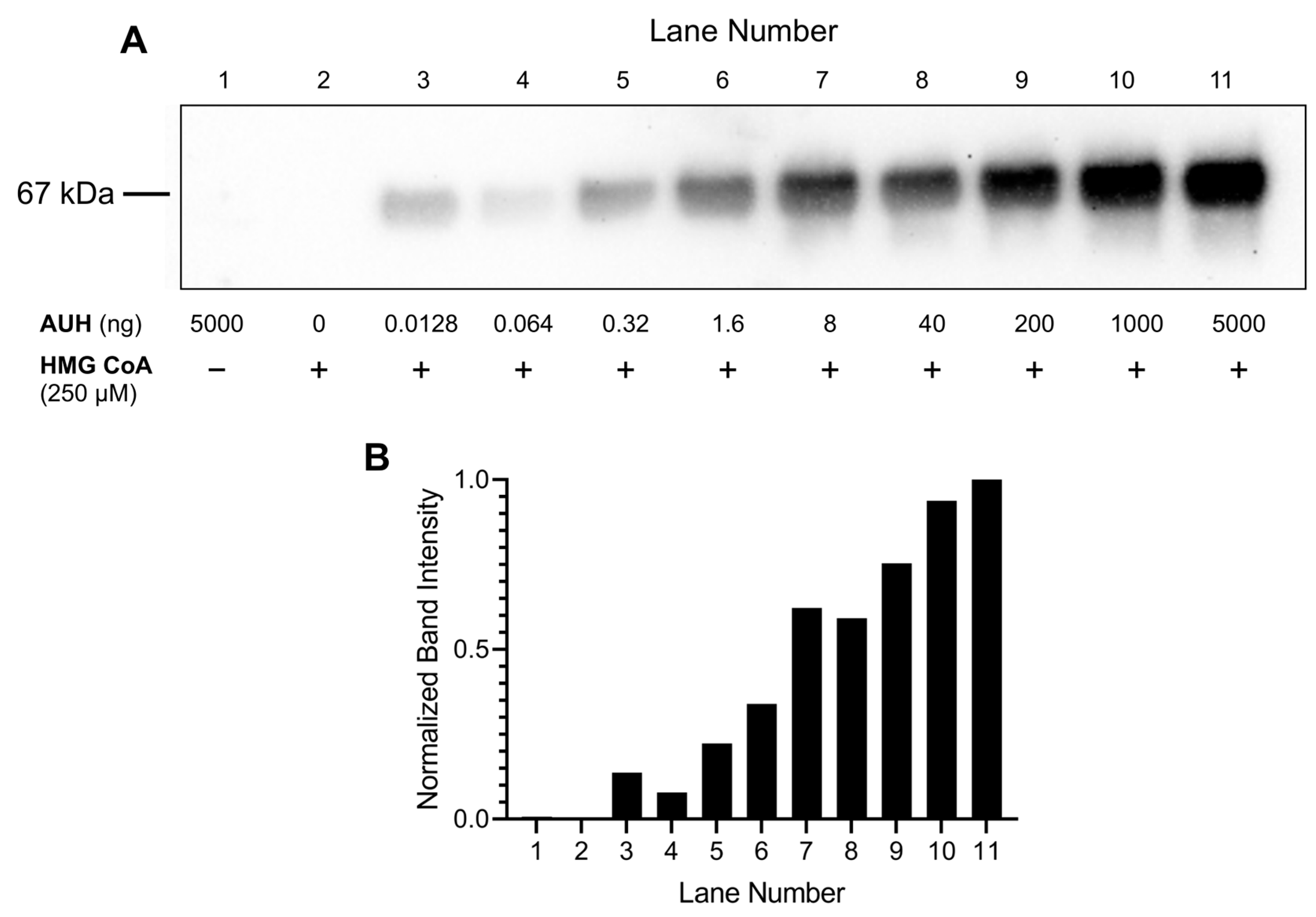 Metabolites 13 00862 g003