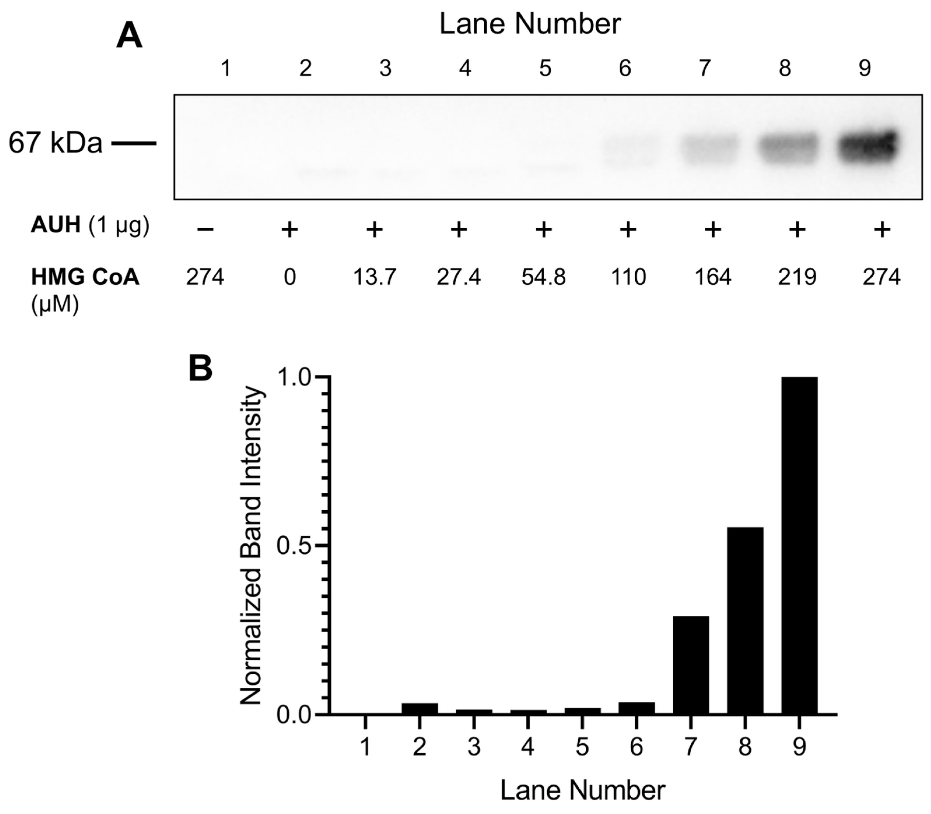 Metabolites 13 00862 g004