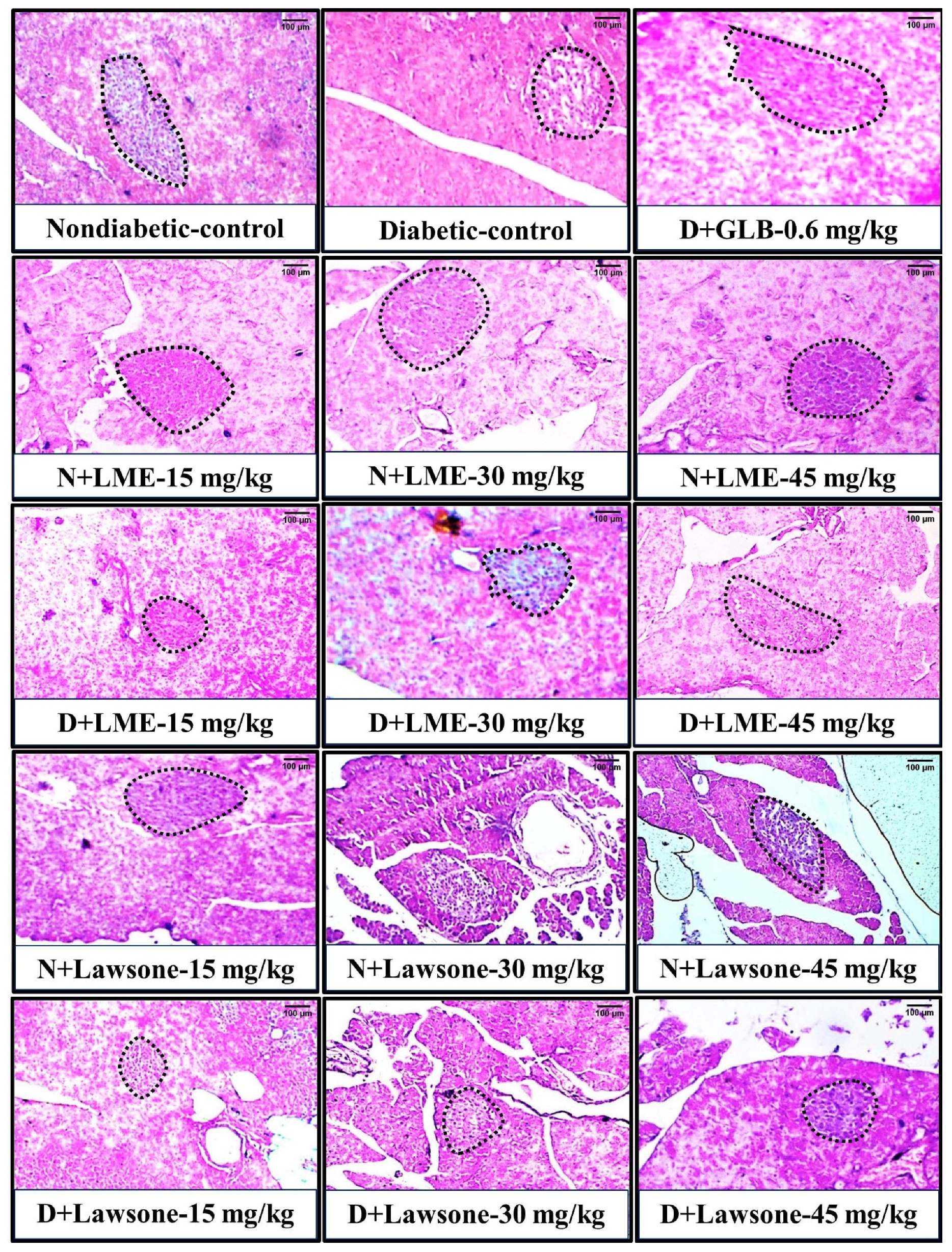 Metabolites 13 00863 g003 Metabolites 13 00863 g003