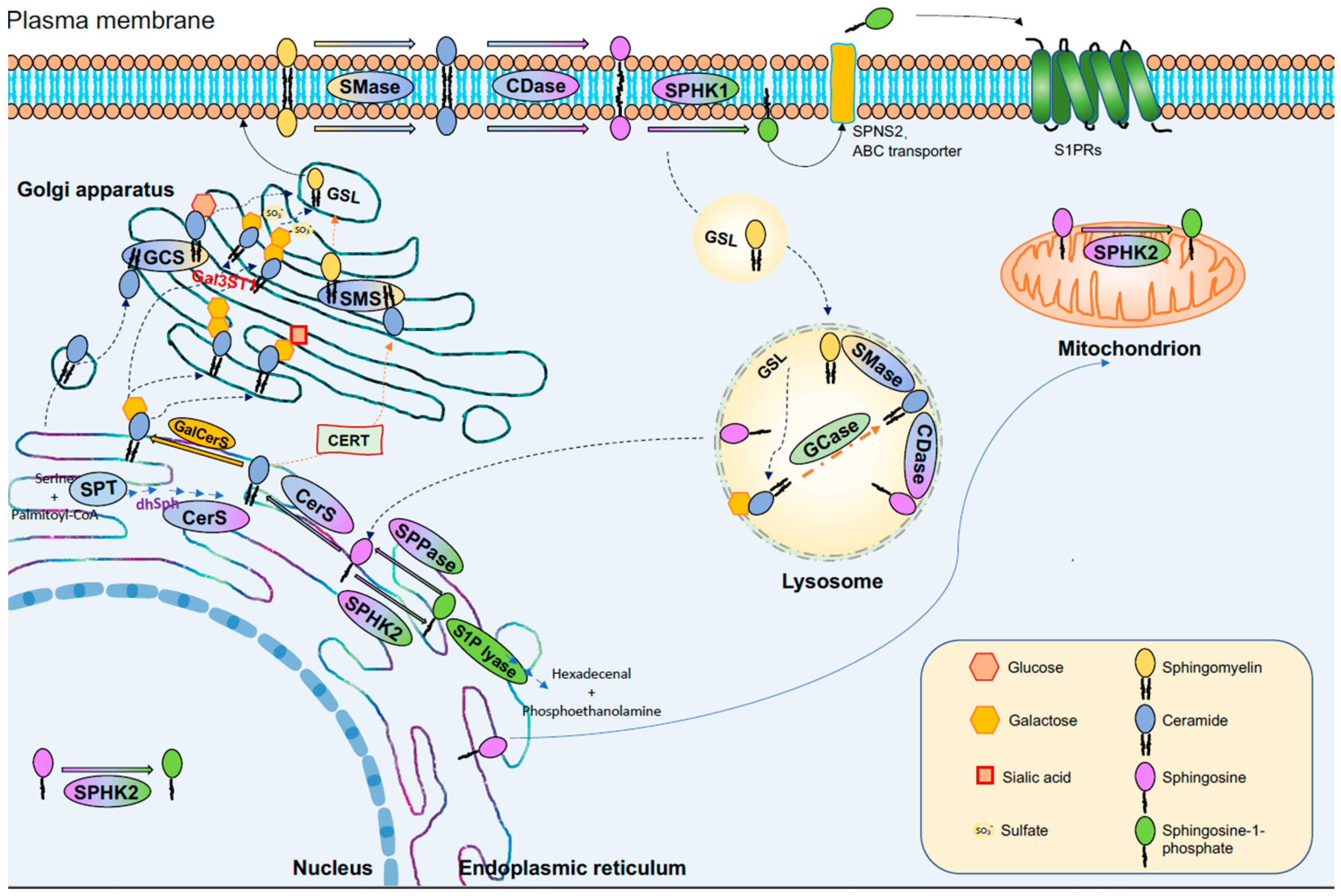 Metabolites 13 00867 g002
