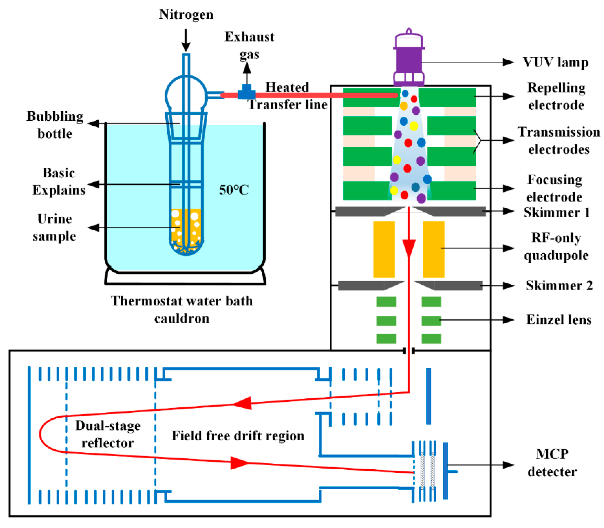 Metabolites 13 00870 g001 Metabolites 13 00870 g001