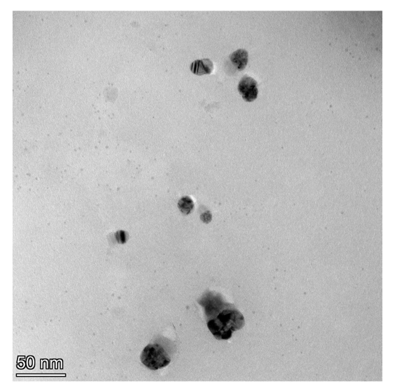 Metabolites 13 00871 g005 Metabolites 13 00871 g005