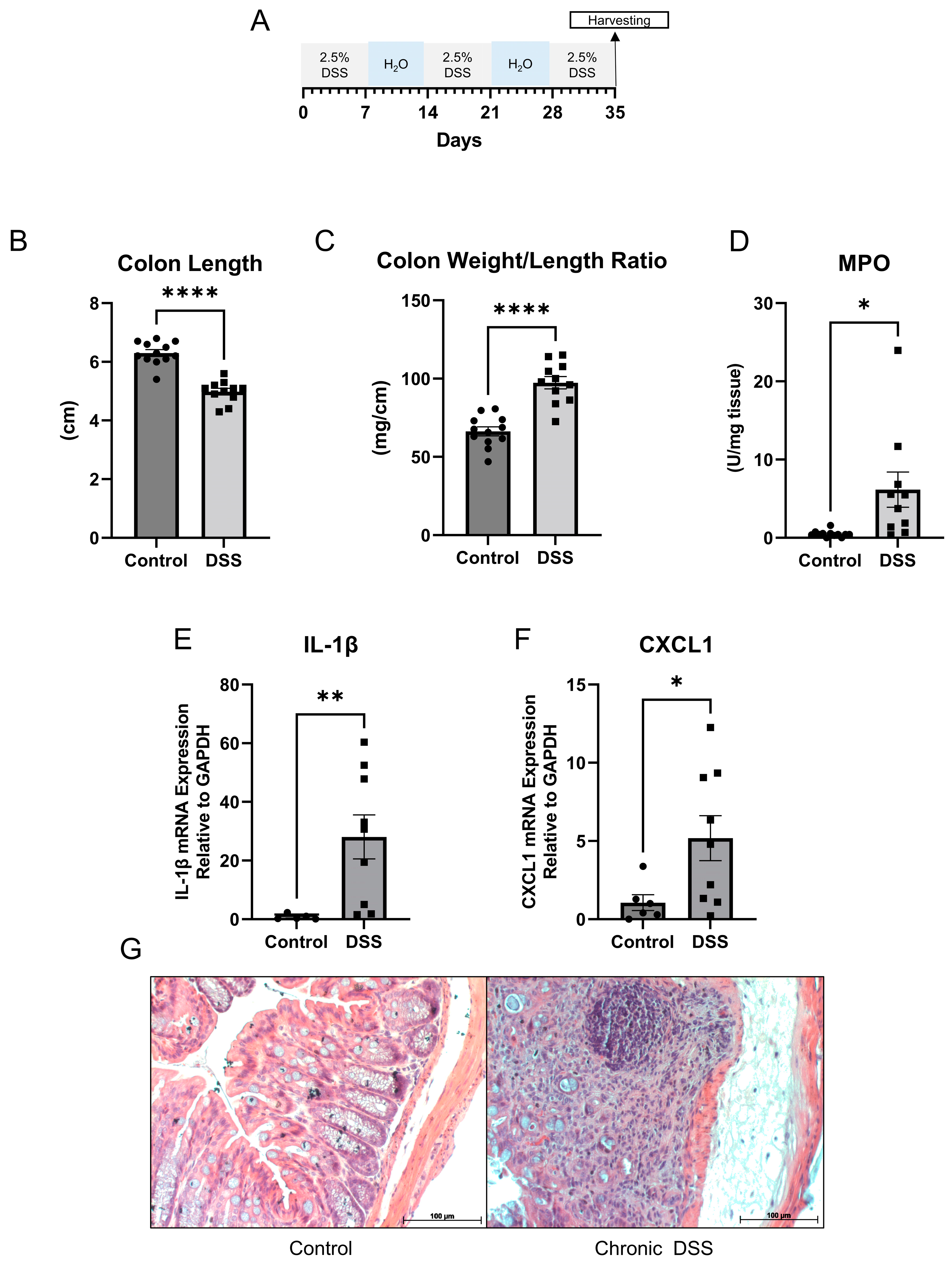 Metabolites 13 00873 g001