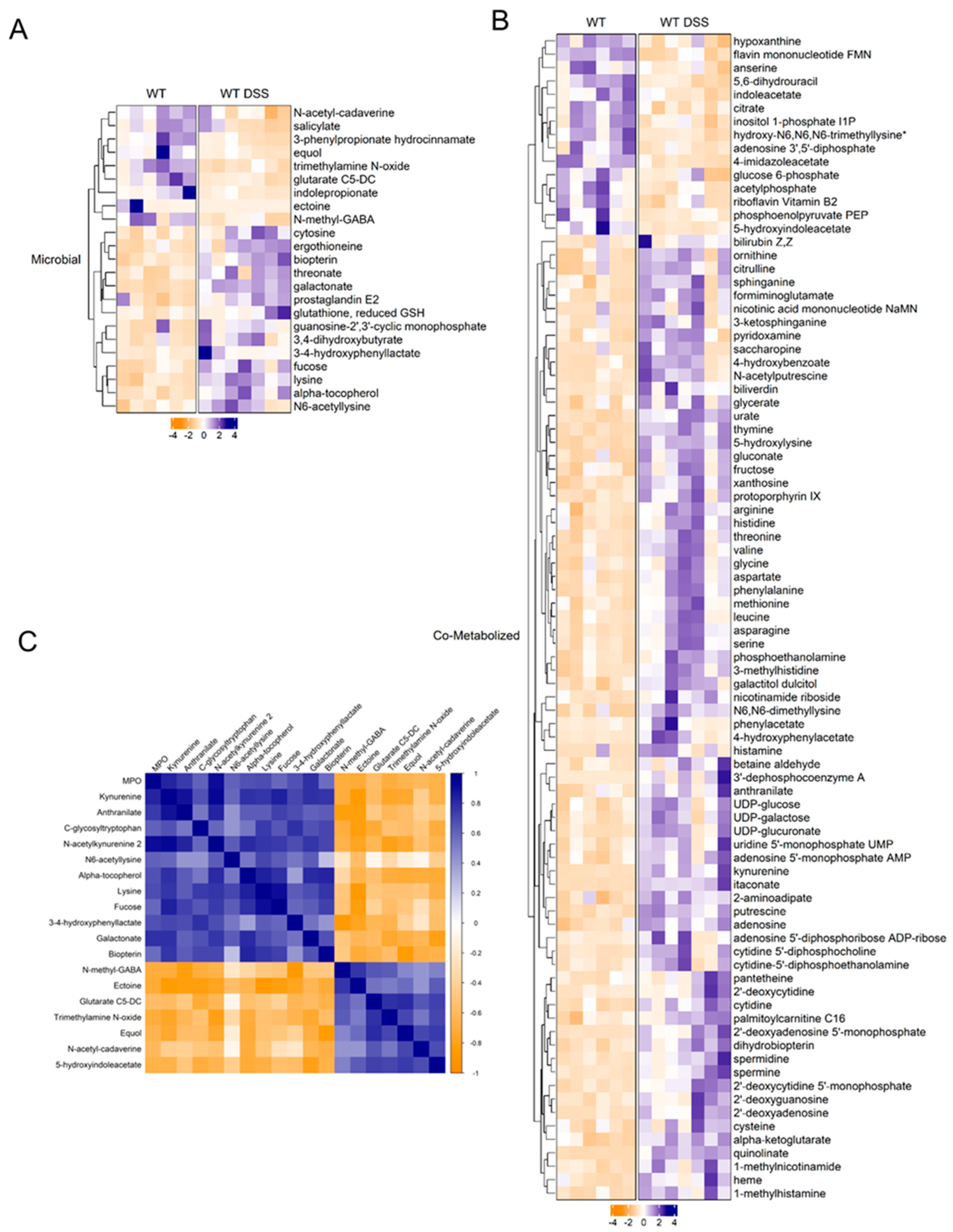 Metabolites 13 00873 g005