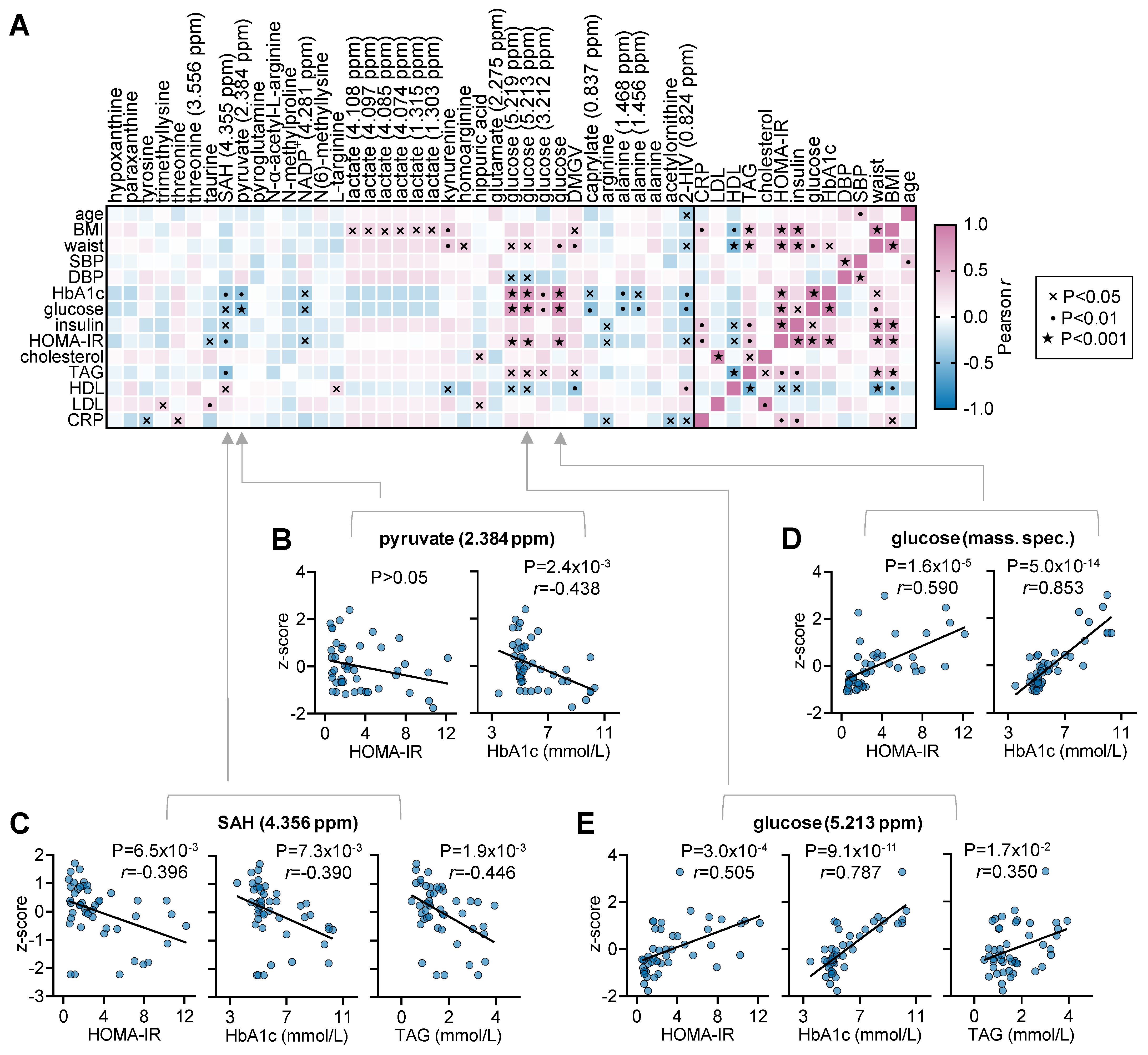 Metabolites 13 00874 g006