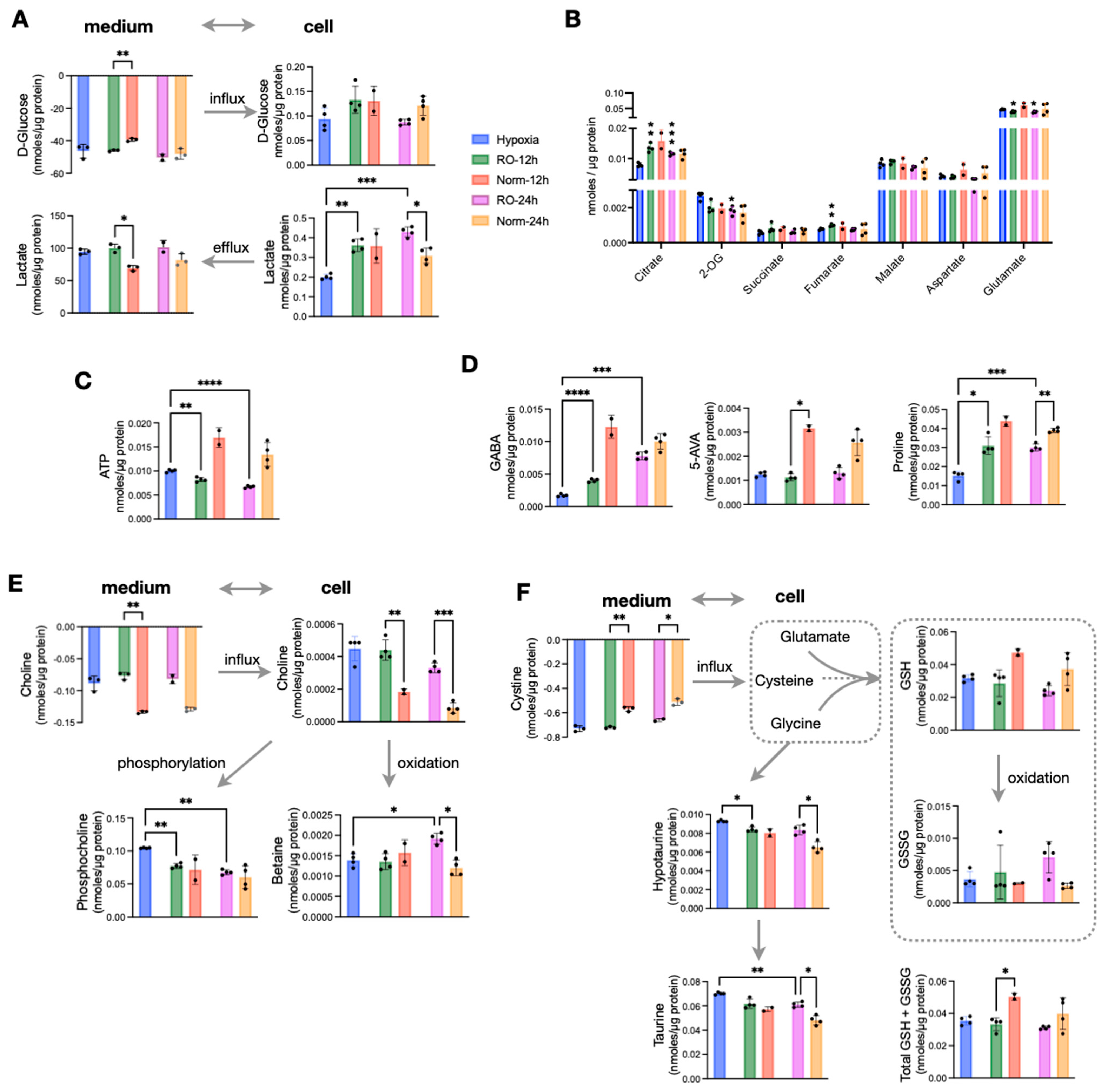 Metabolites 13 00875 g003