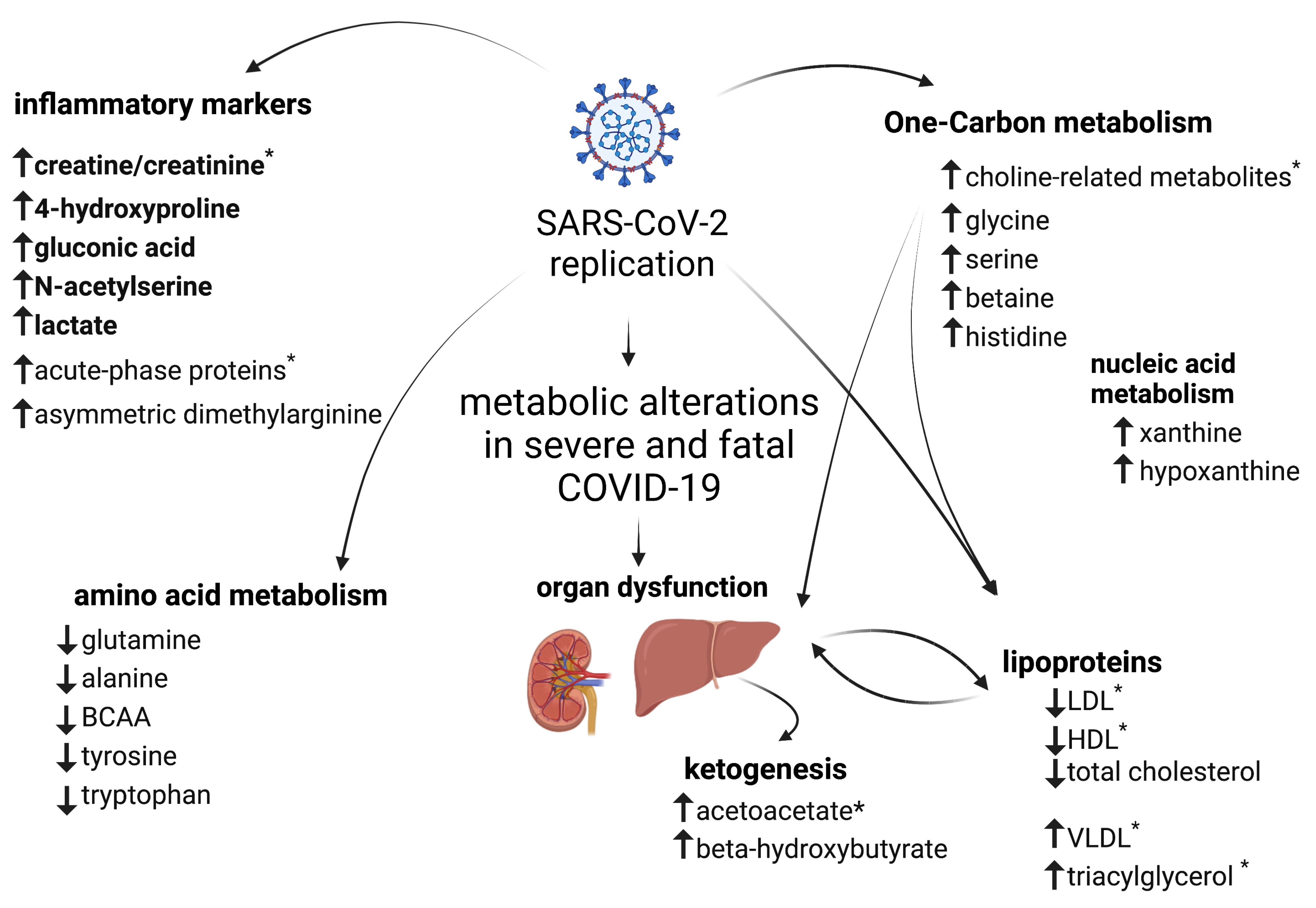 Metabolites 13 00879 g006 Metabolites 13 00879 g006