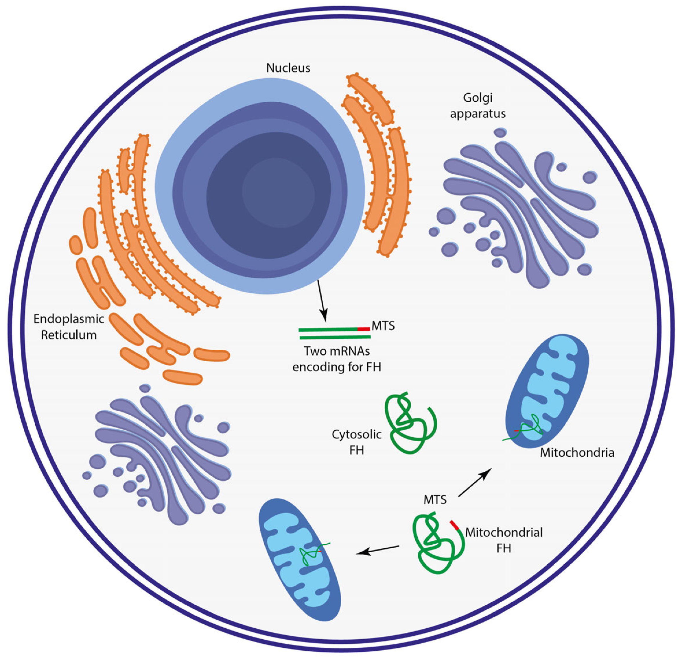Metabolites 13 00880 g001 Metabolites 13 00880 g001