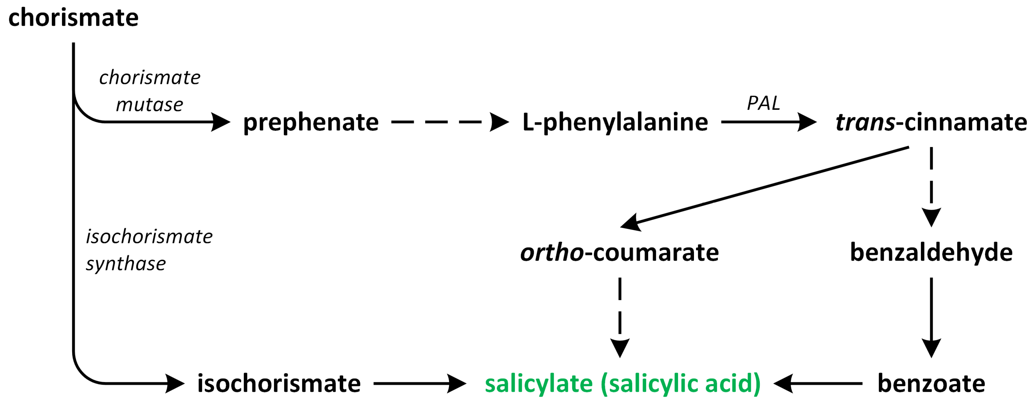Metabolites 13 00884 g004