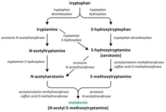 Biosynthetic Pathways of Hormones in Plants