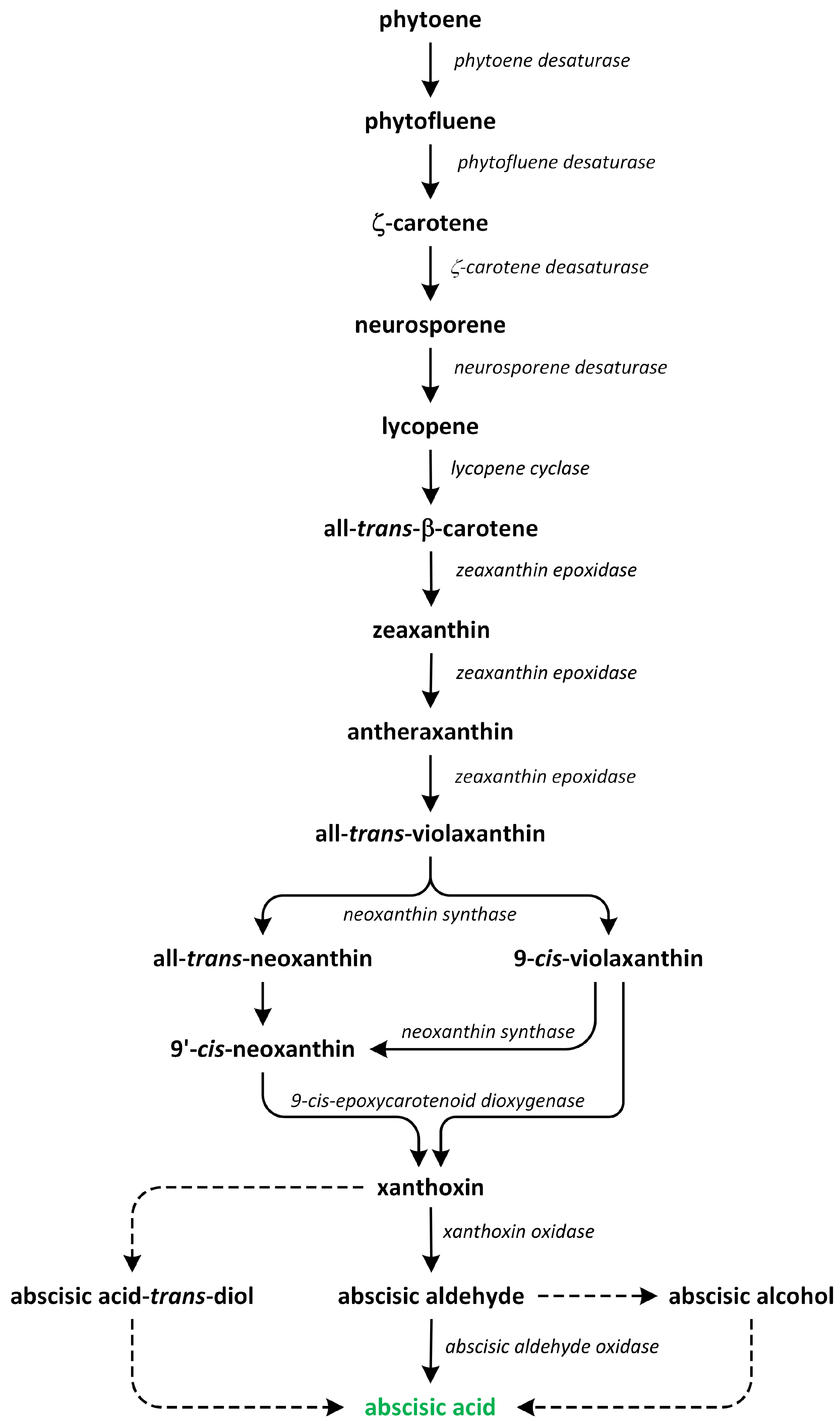 Metabolites 13 00884 g008