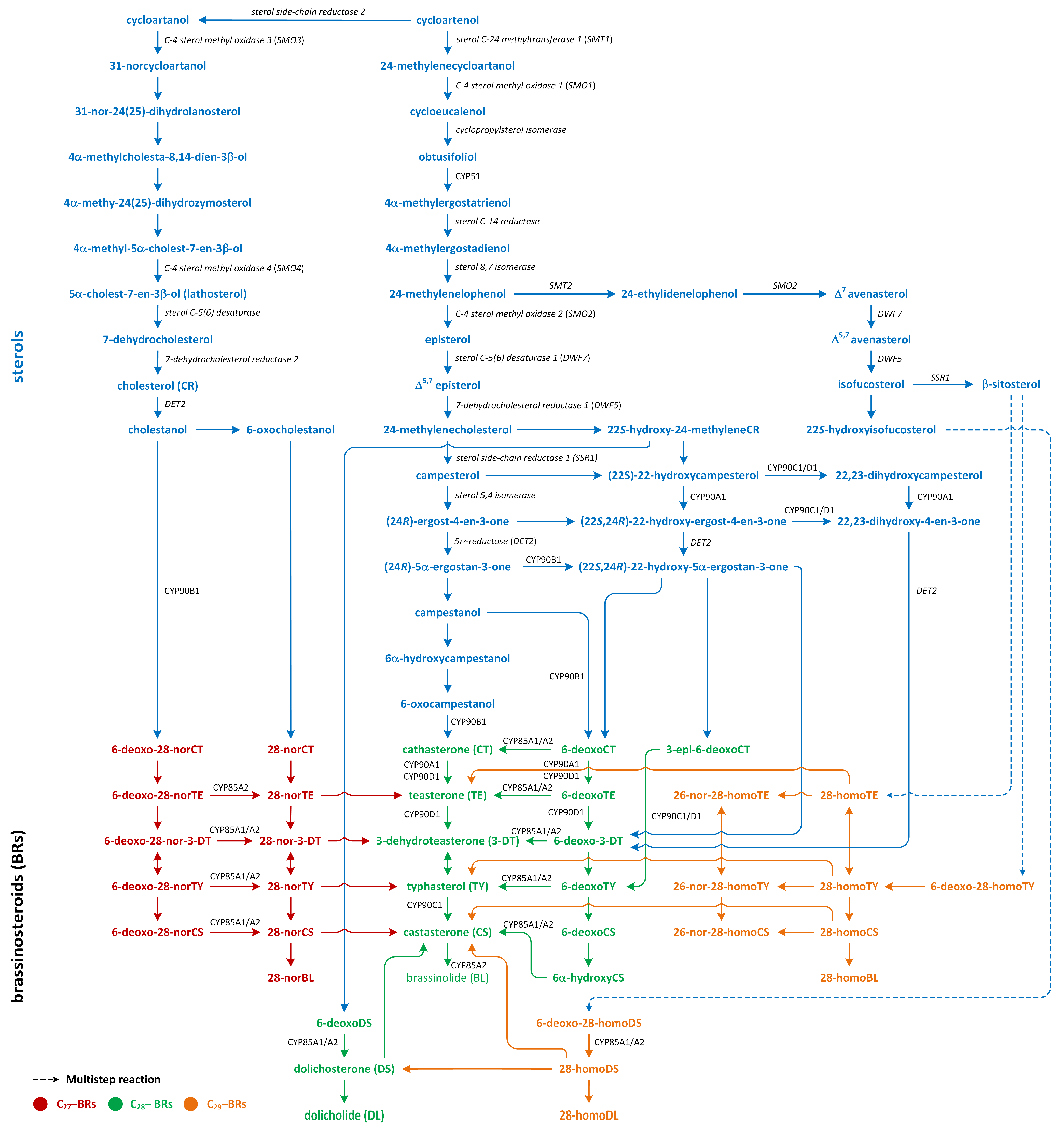 Metabolites 13 00884 g009