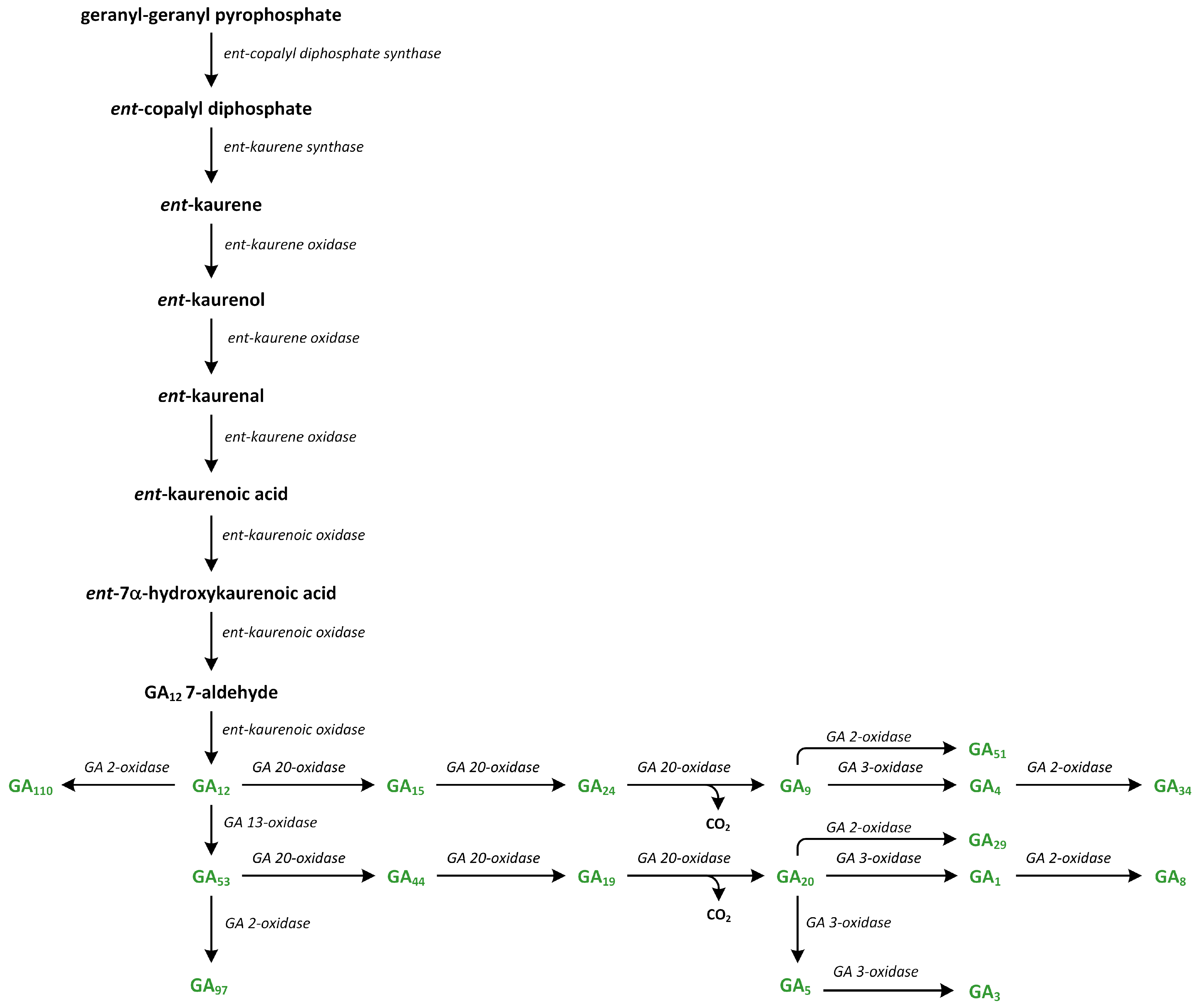 Metabolites 13 00884 g011