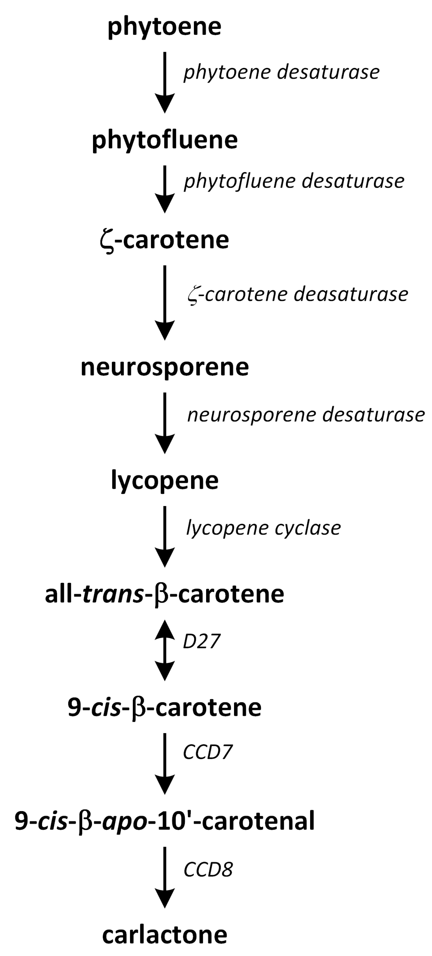 Metabolites 13 00884 g012