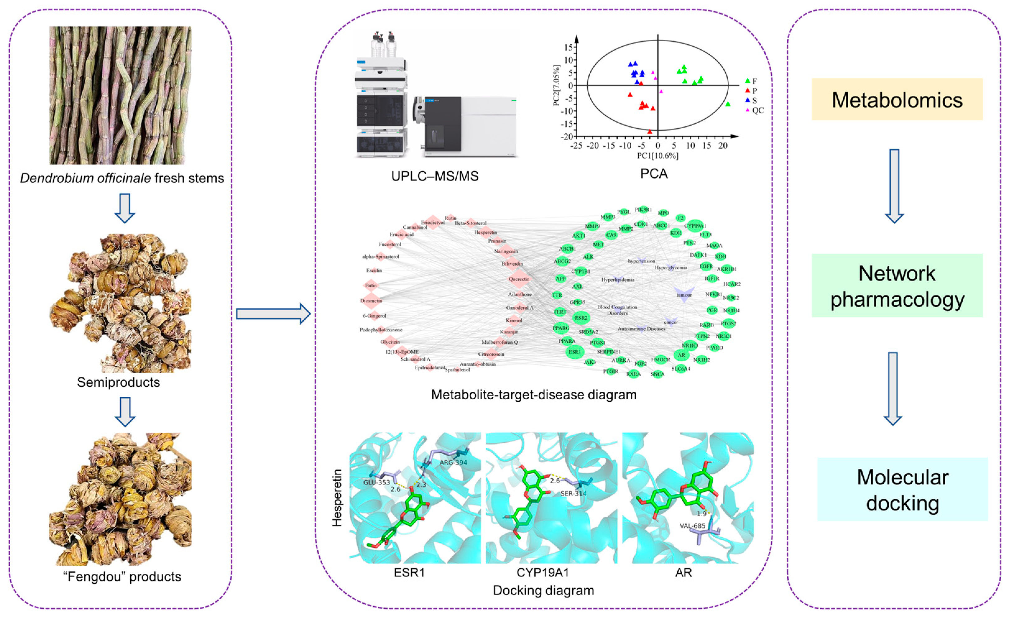 Integrated Analysis of Metabolomics Combined with Network