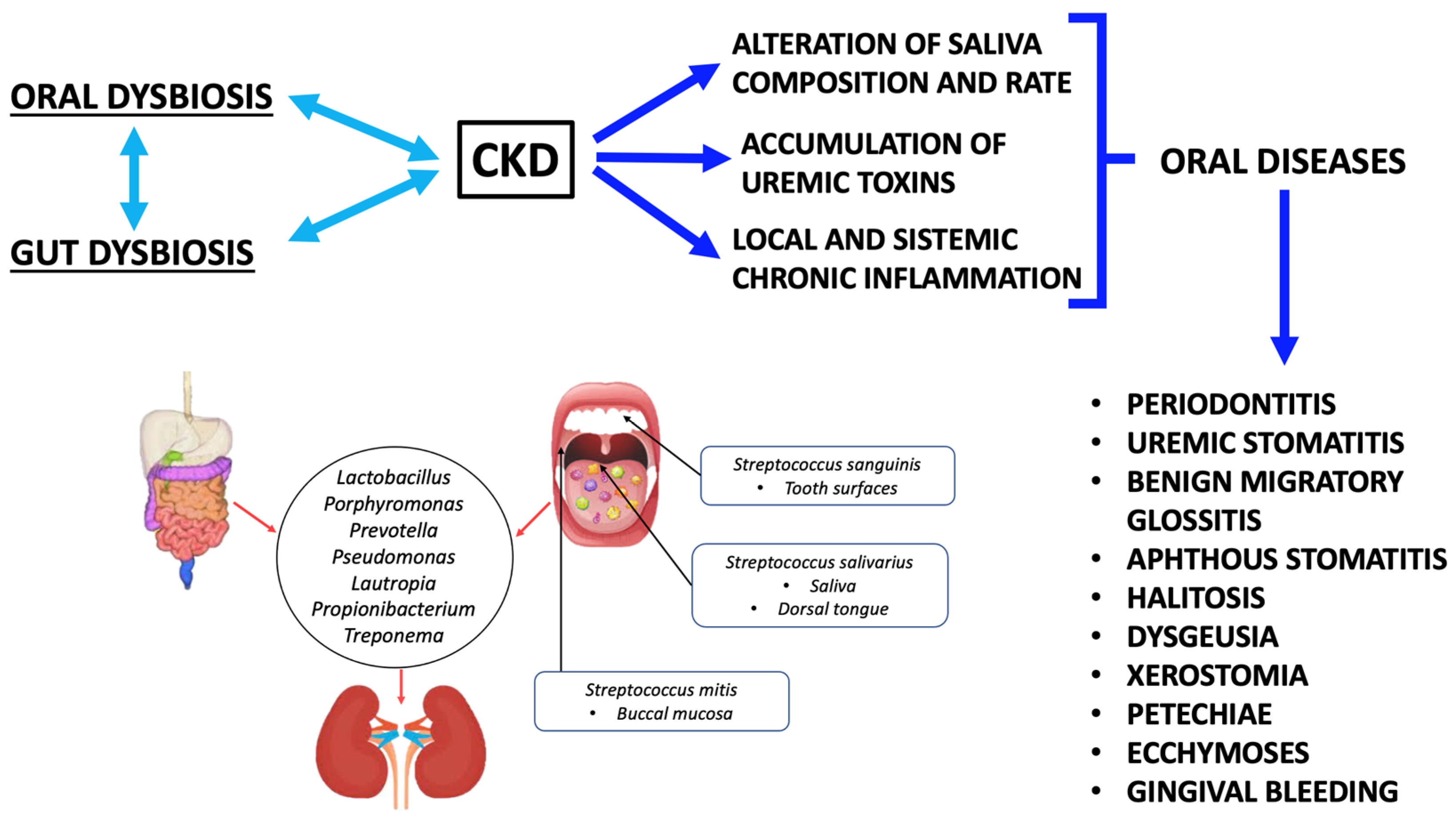 Metabolites 13 00889 g002