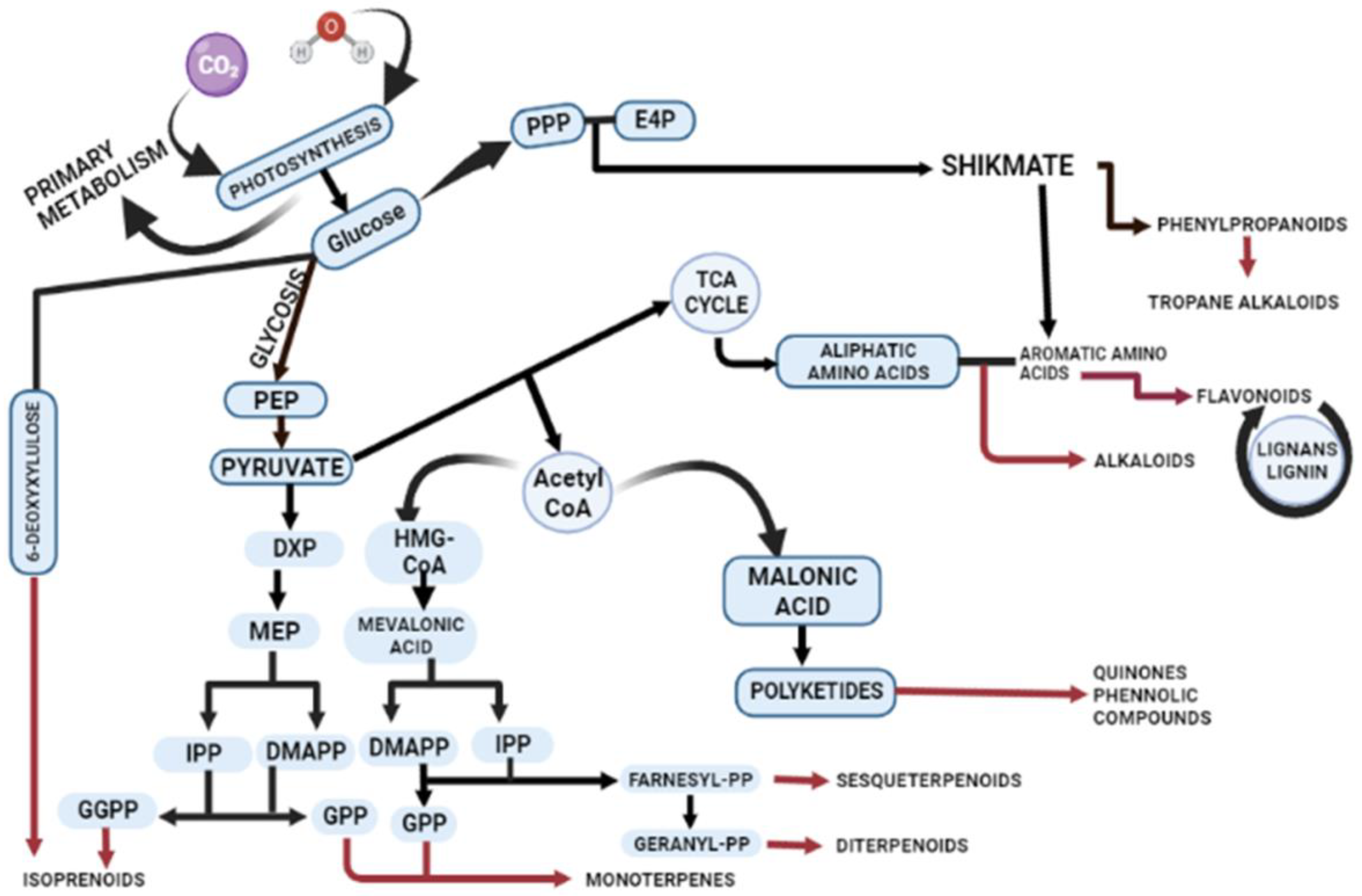 Metabolites 13 00895 g001
