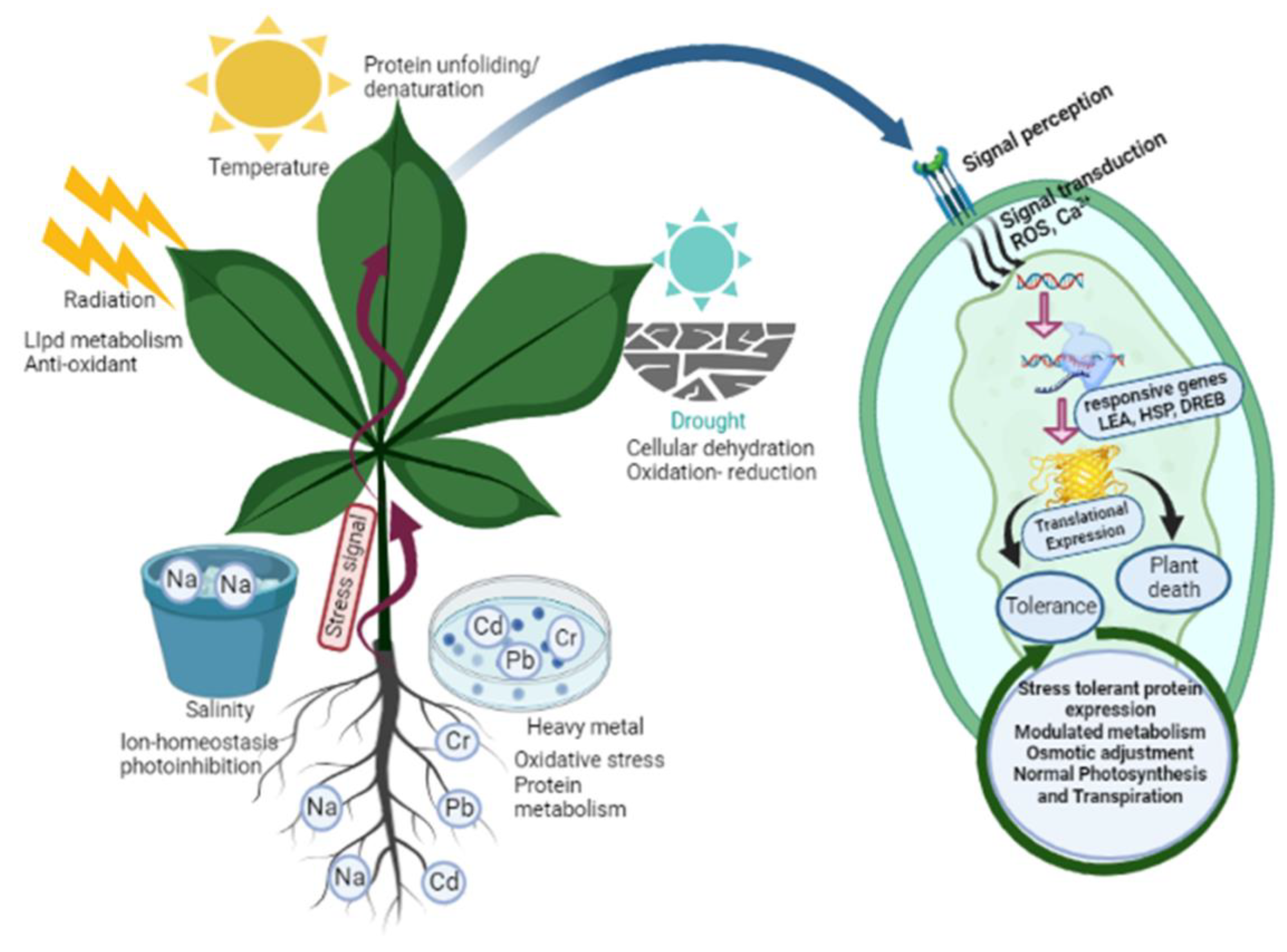 Metabolites 13 00895 g002