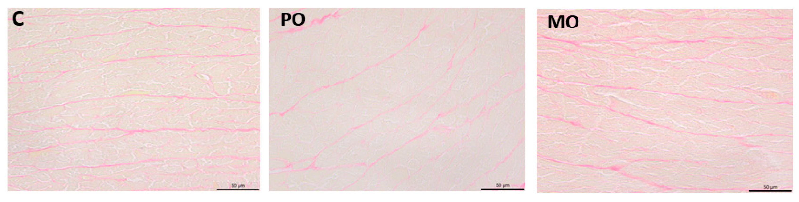 Metabolites 13 00902 g004 Metabolites 13 00902 g004