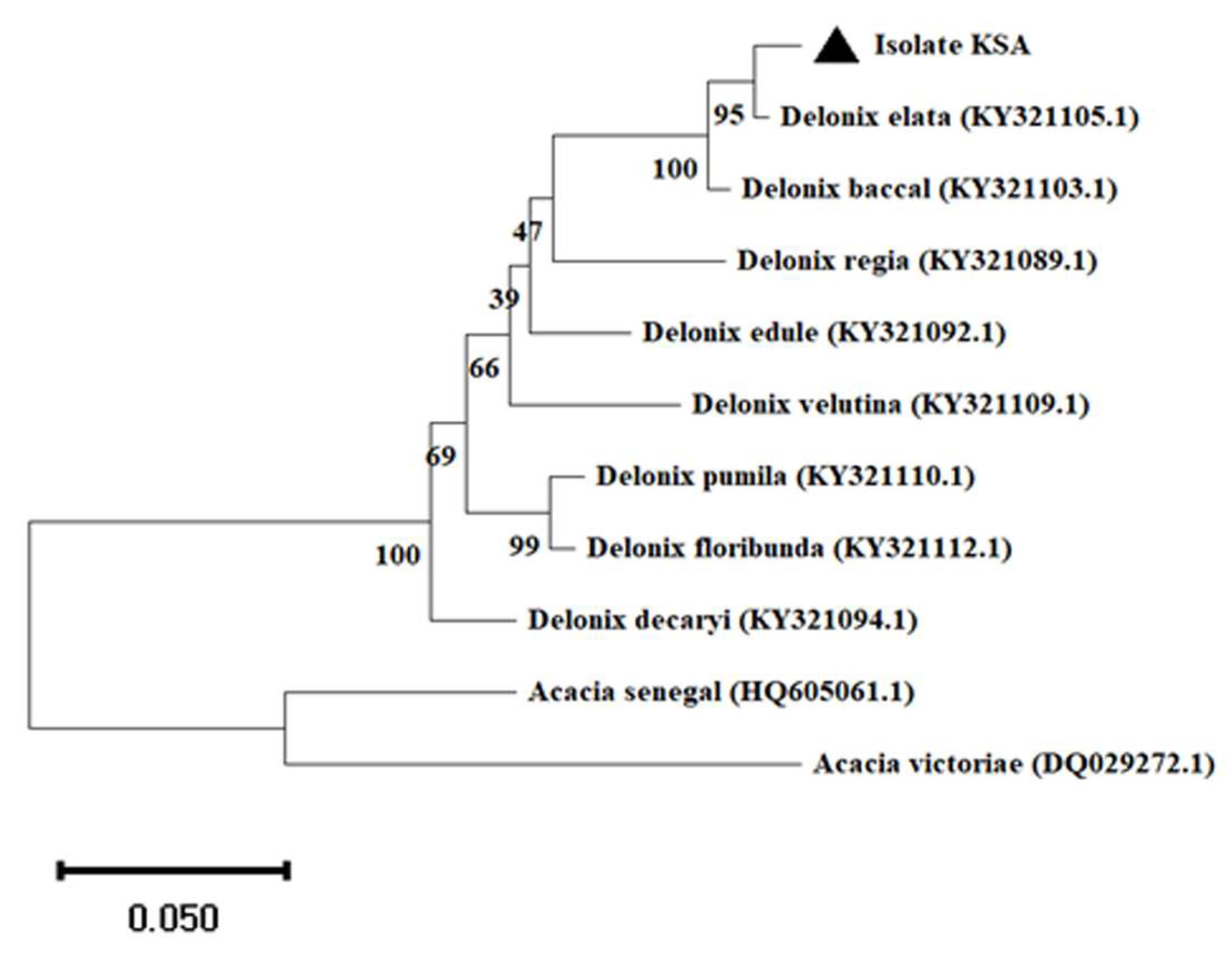 Metabolites 13 00905 g002 Metabolites 13 00905 g002