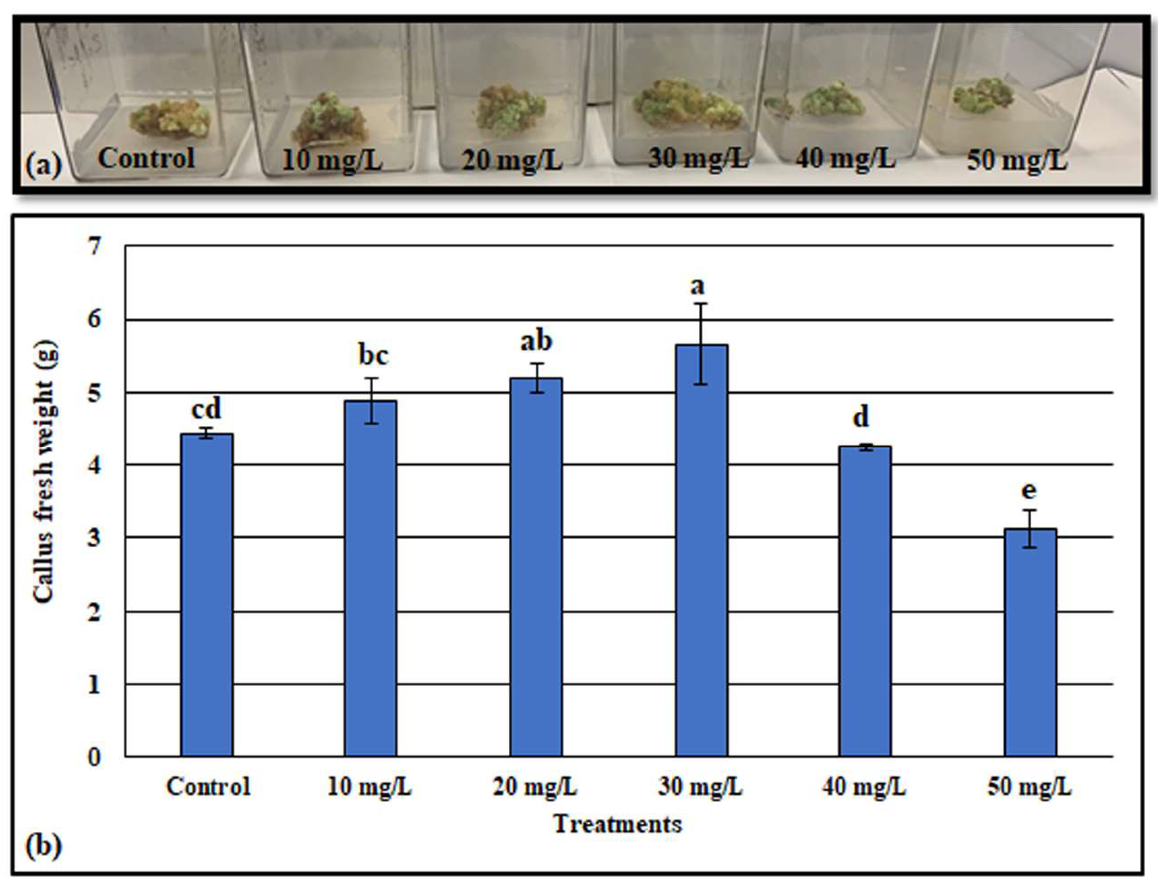 Metabolites 13 00905 g003 Metabolites 13 00905 g003