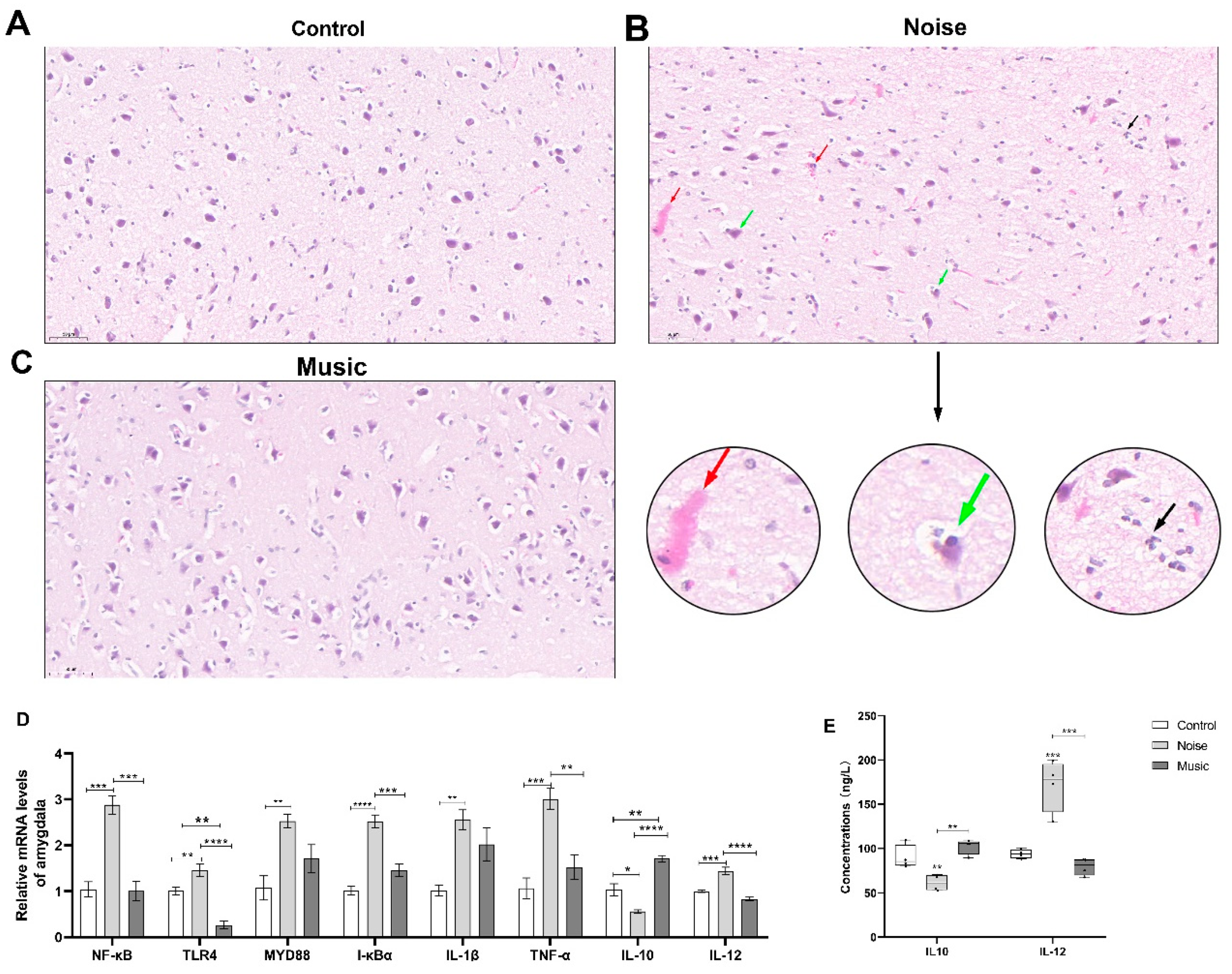 Metabolites 13 00928 g004