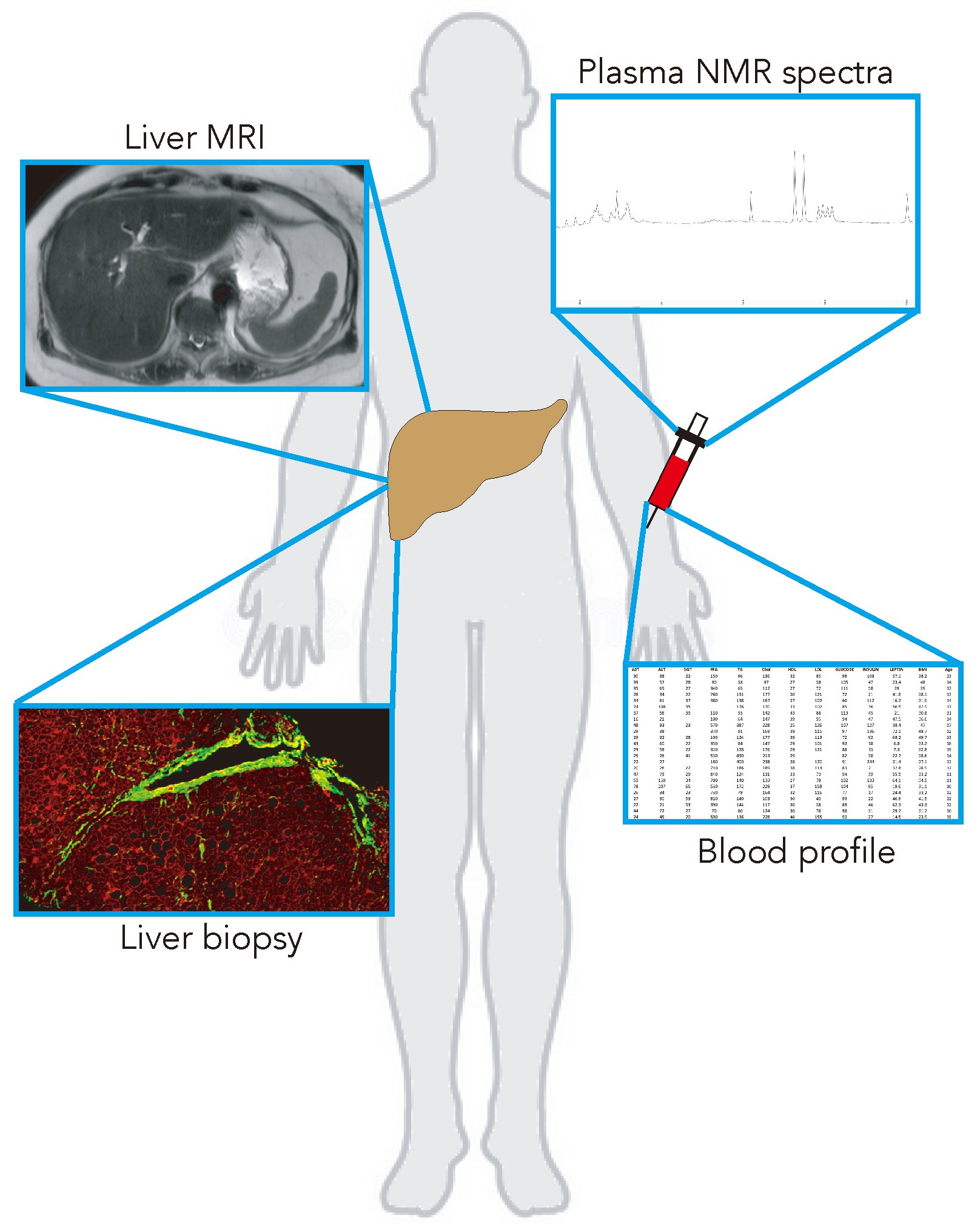 Metabolites 13 00929 g001 Metabolites 13 00929 g001