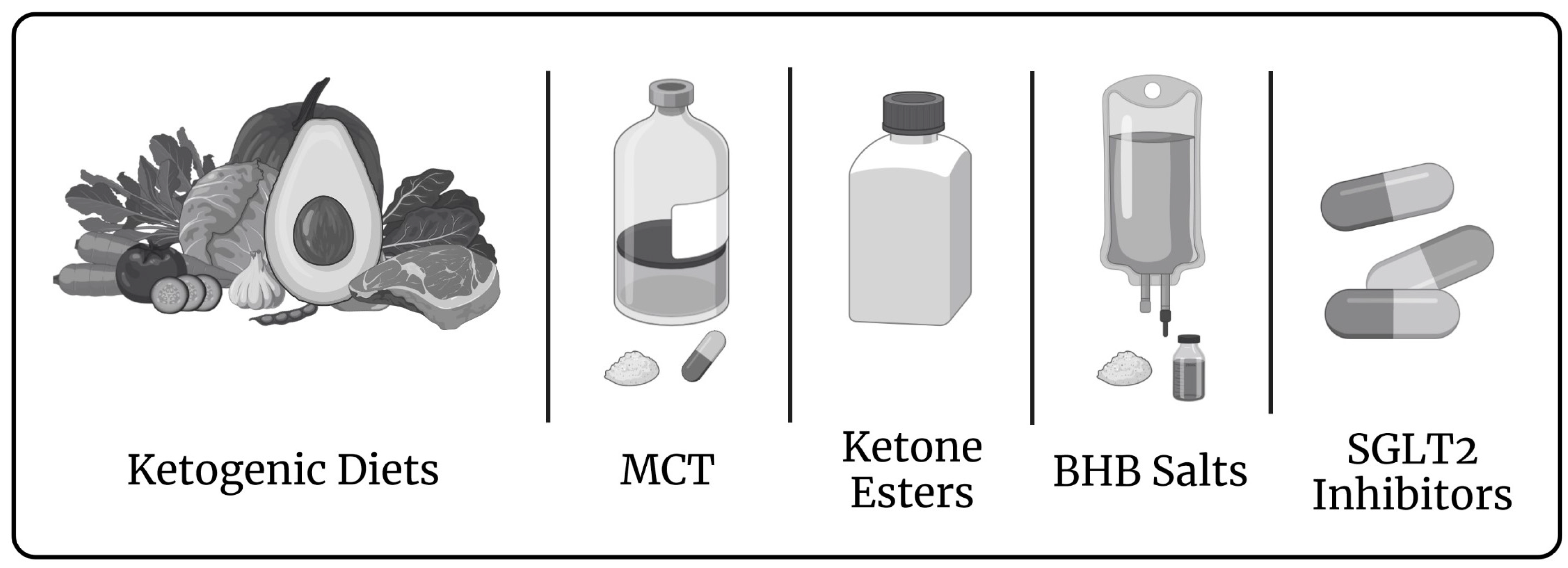Metabolites 13 00932 g002 Metabolites 13 00932 g002