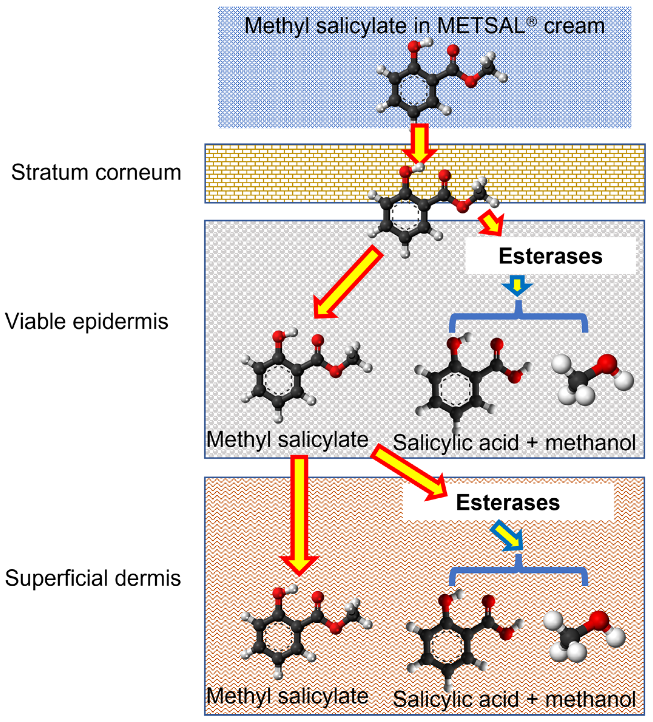 Metabolites 13 00934 g001
