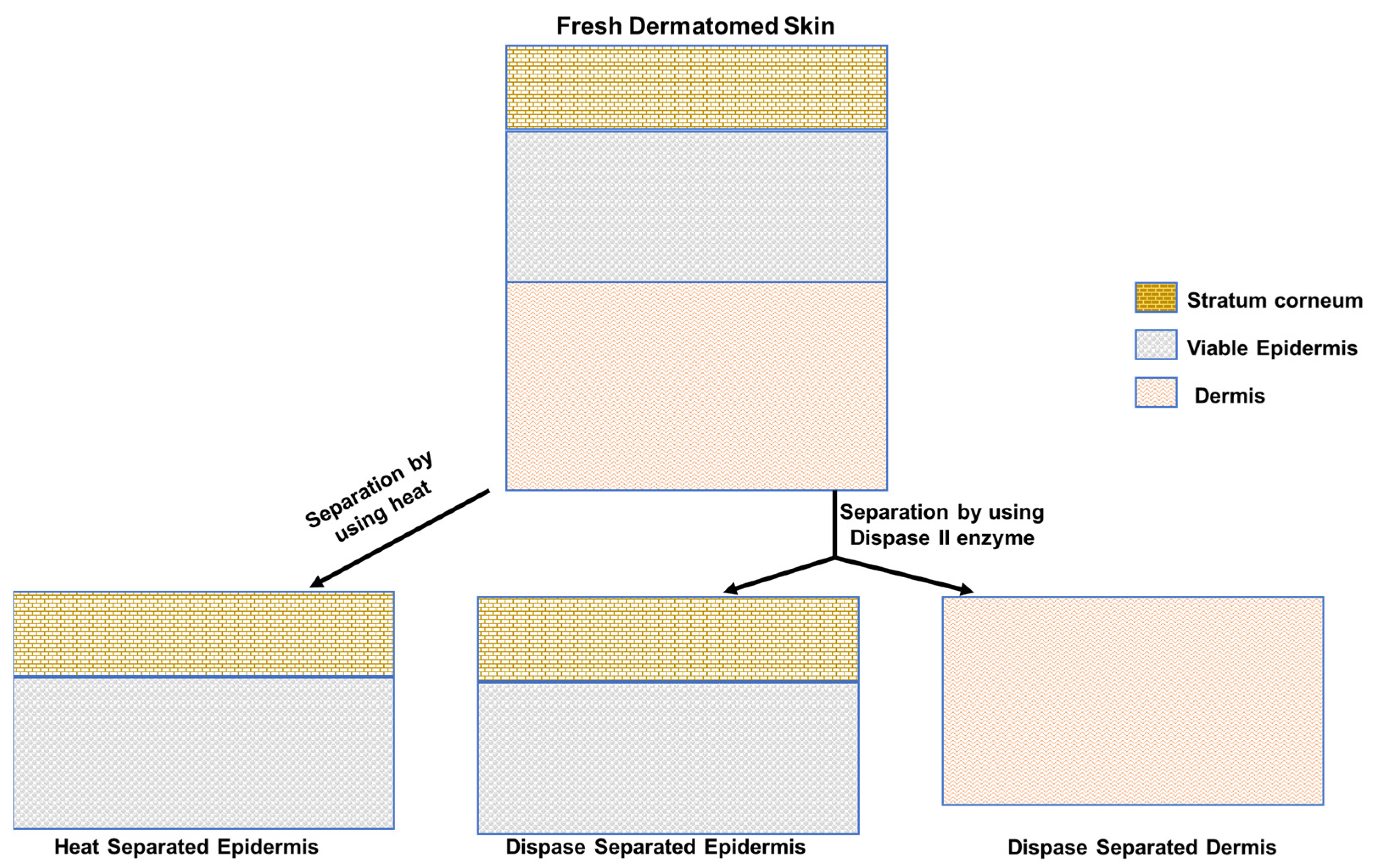 Metabolites 13 00934 g002