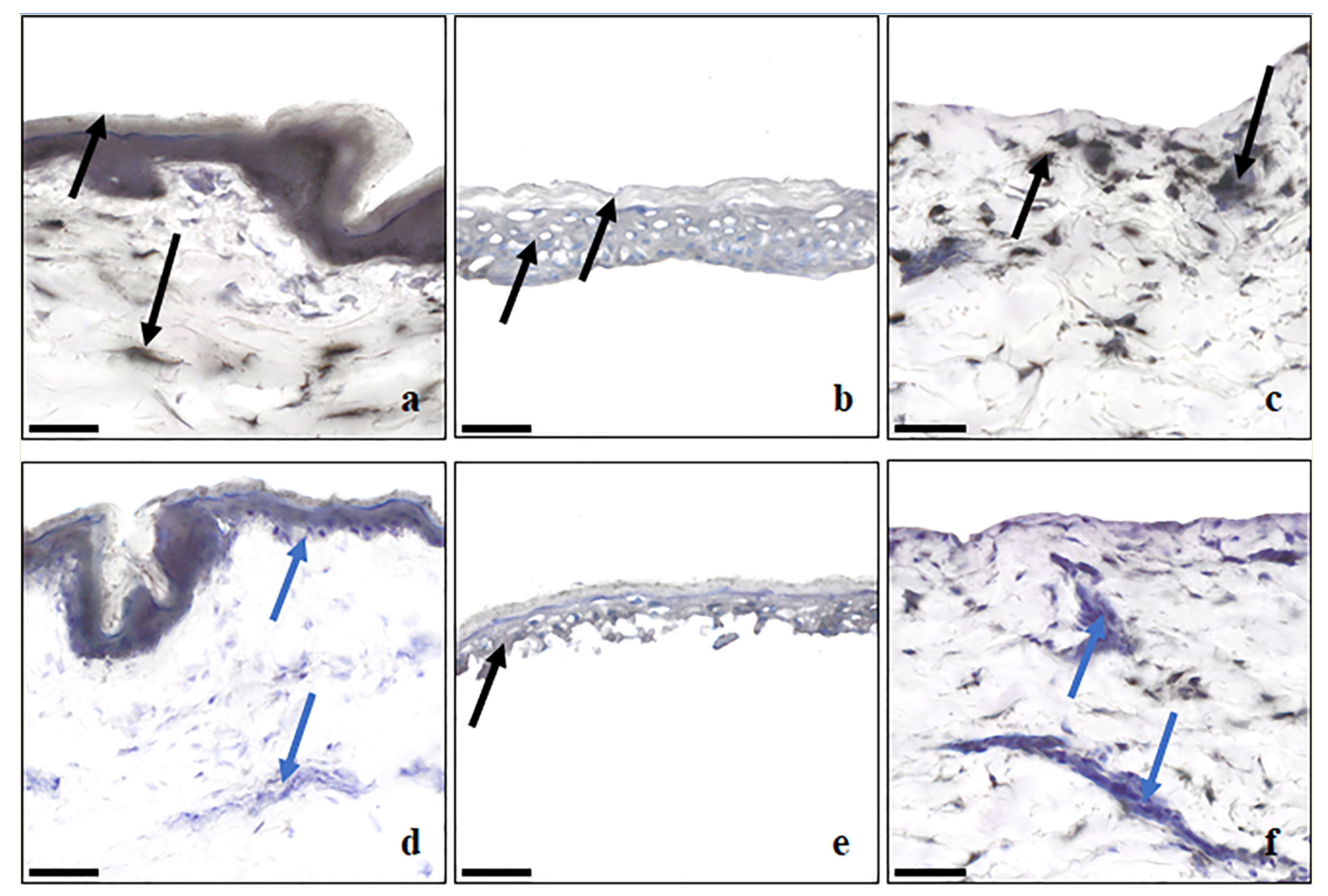 Metabolites 13 00934 g004