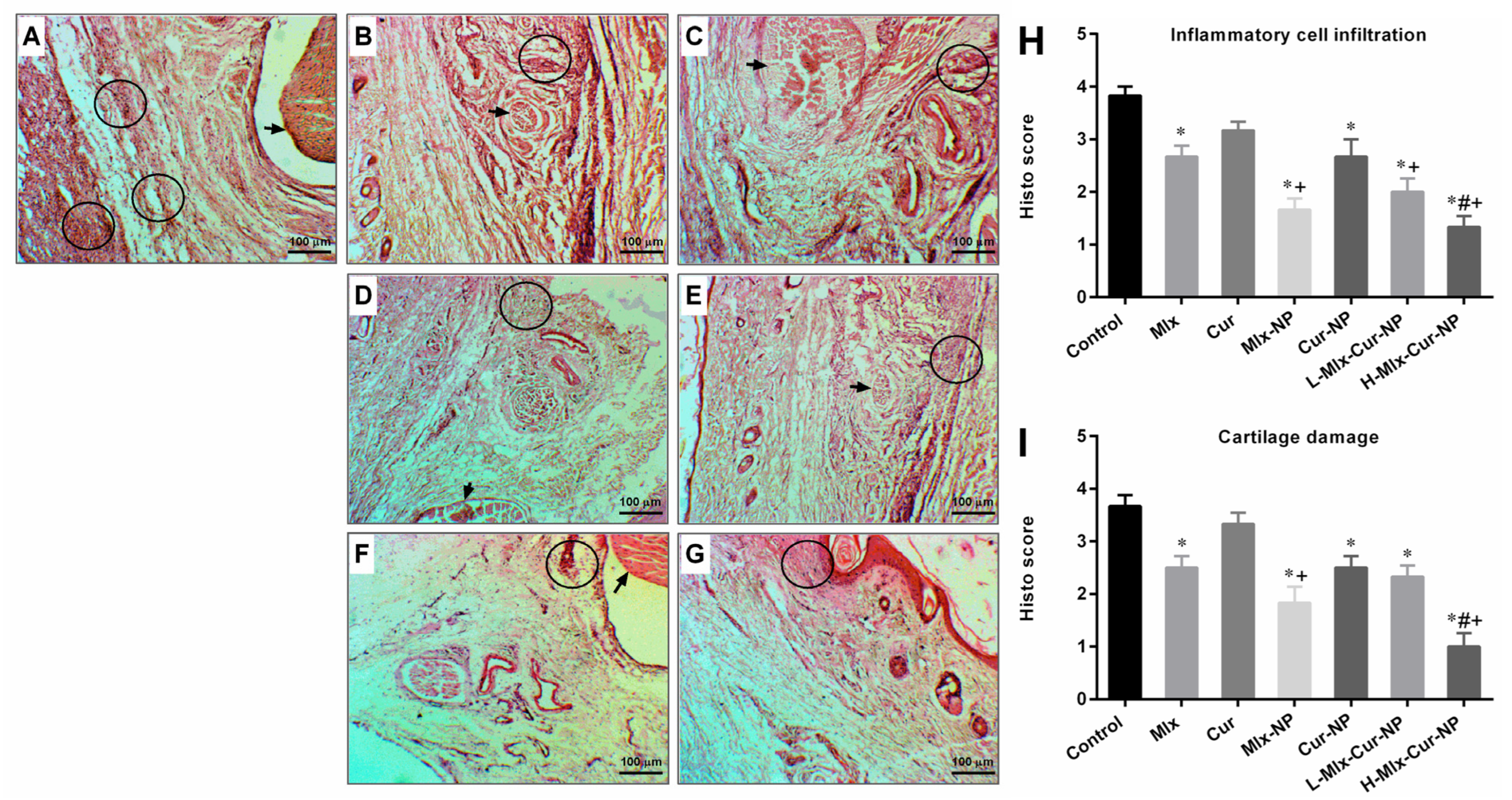 Metabolites 13 00935 g008